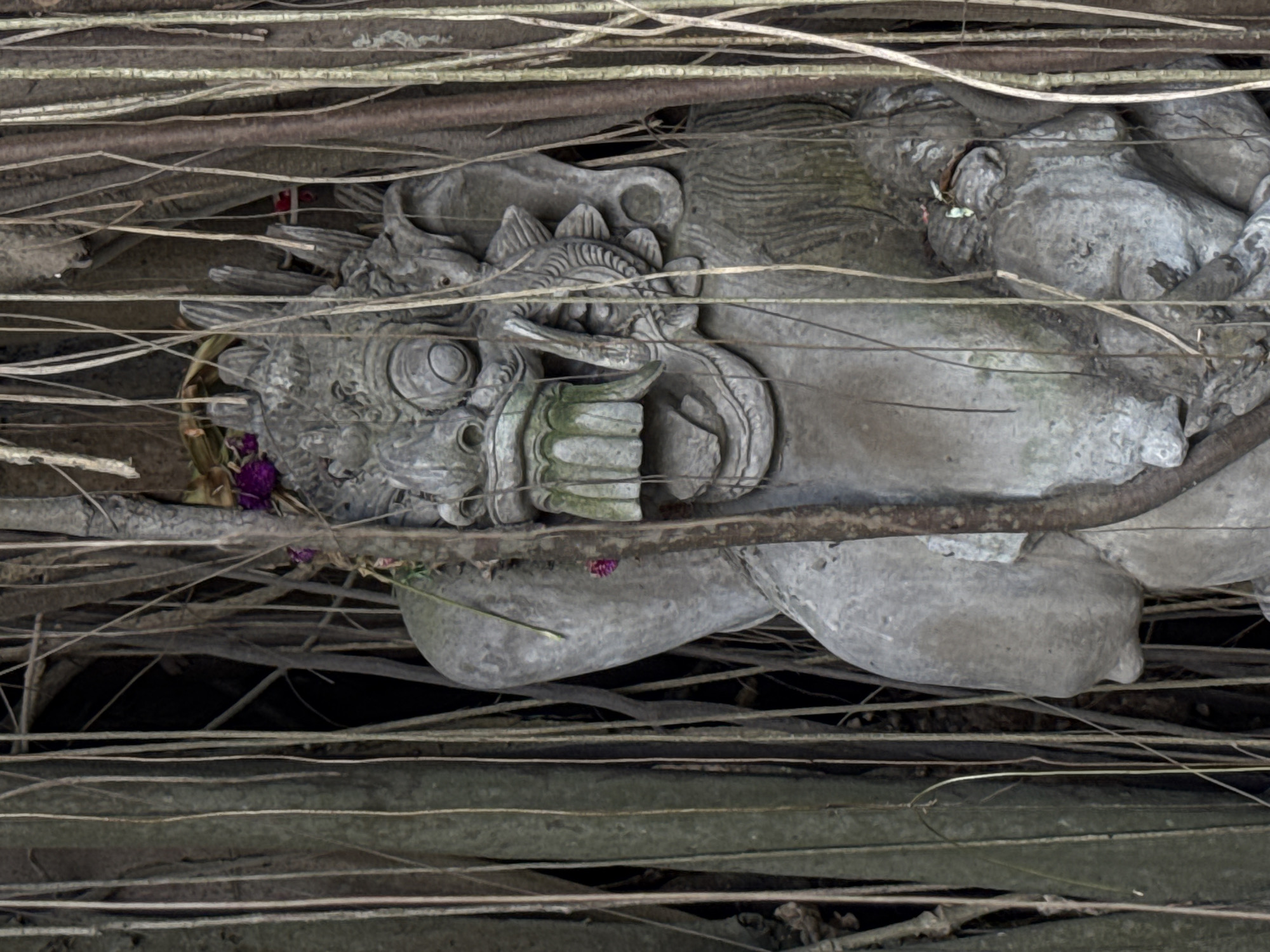 A stone statue, partially obscured by vines, lies in Kuta Selatan, Indonesia. The statue appears to depict a deity or mythical figure, with detailed facial features and ornamentation. The statue is covered with vines, and lying on its side. The environment is dimly lit, with the vines creating a sense of enclosure.