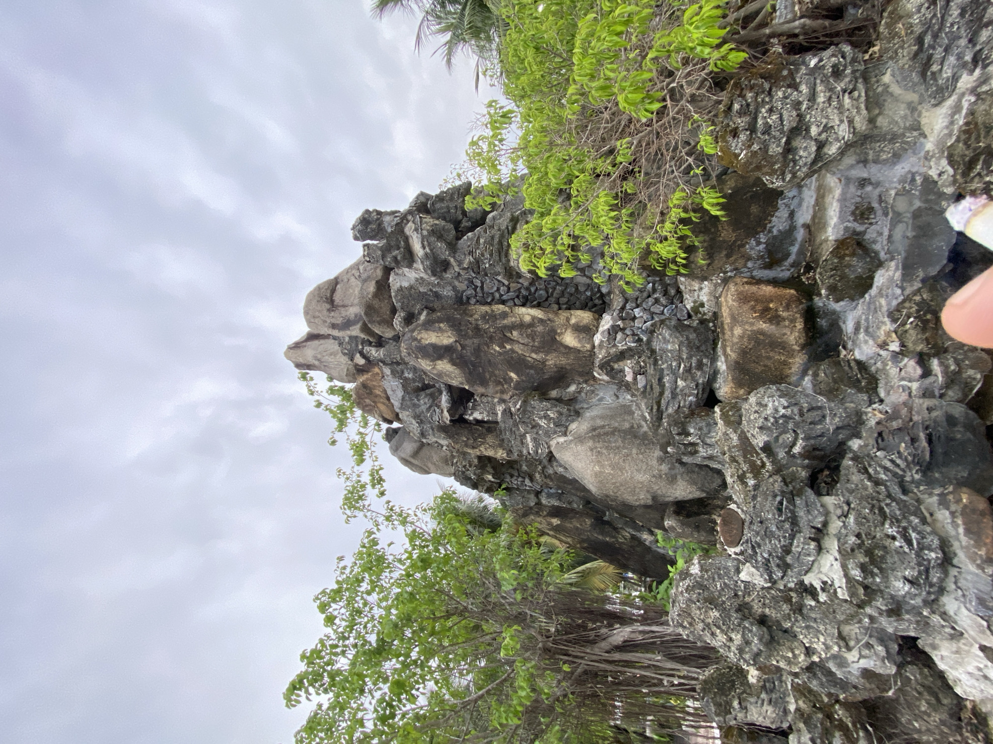 The media file shows a low-angle, close-up view of a man-made rock formation, possibly a waterfall or decorative feature, with lush green foliage. The rocks are varied in size and texture, with some appearing dark and wet, suggesting water flow. Small dark stones are packed into crevices within the rock face. Bright green leaves from trees and bushes are prominent, with some branches reaching over the rocks. In the distance, through the foliage and mist, a palm frond is visible, hinting at a tropical location. The sky is overcast and appears to be a pale gray, suggesting a cloudy or potentially rainy day. The overall mood is natural and serene. There are no visible people, text, or specific time-of-day indicators, though the lighting suggests daytime. The presence of tropical foliage and the mention of Nha Trang, Vietnam, imply a warm, humid climate typical of Southeast Asia. The image's orientation is rotated, making the rock formation appear to rise vertically. A human finger is partially visible in the bottom right corner, obscuring a small portion of the rock.