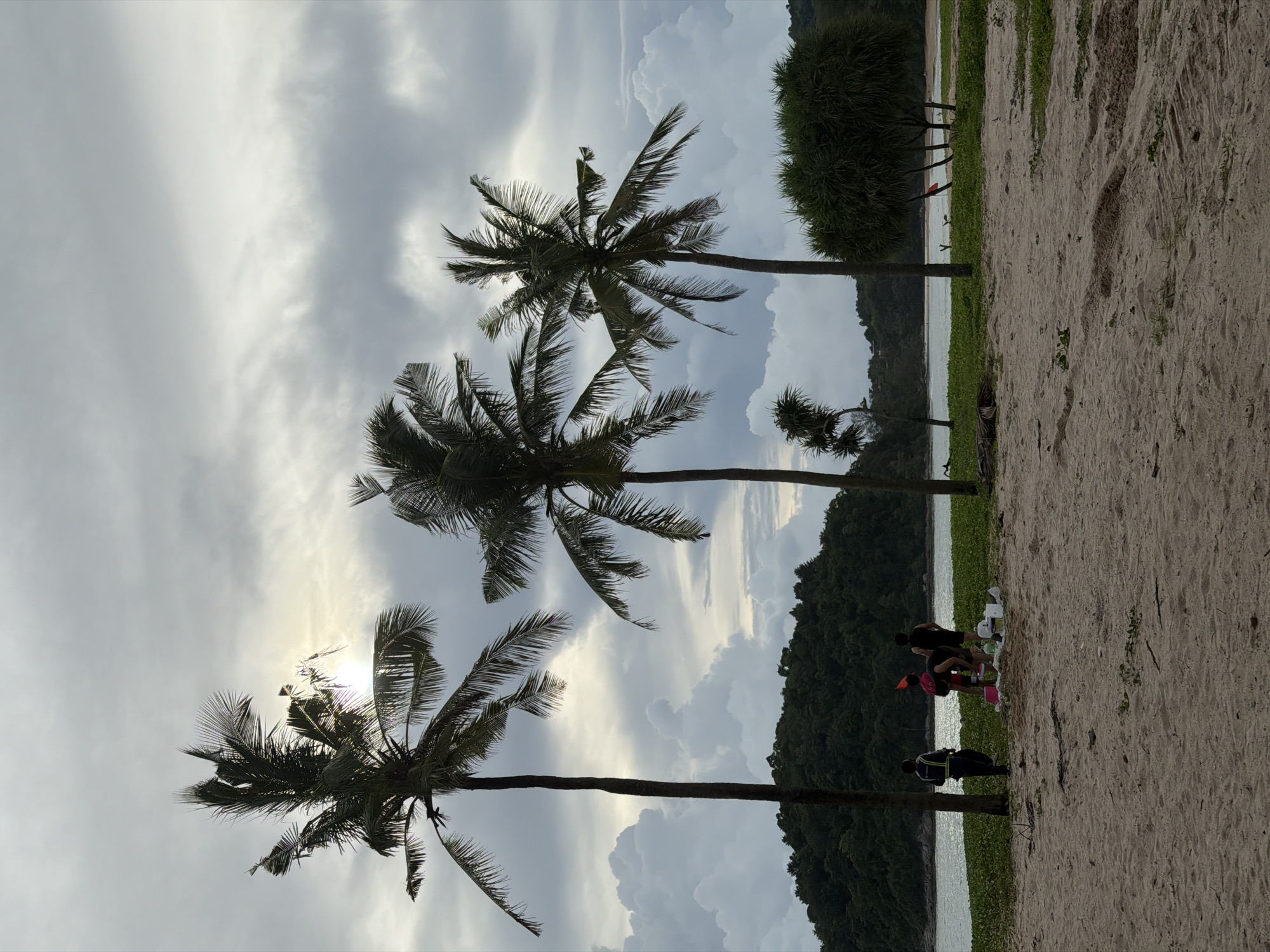 This media file shows a beach scene in Choeng Thale, Thailand. The image features several palm trees against a cloudy sky, with the sun peeking through the clouds, suggesting it is either early morning or late afternoon. The foreground is a sandy beach, with the ocean and a densely forested hill in the background.
There are a few people visible on the beach. In the mid-ground, a small group of individuals appears to be gathered on a blanket, possibly having a picnic or resting. Further in the background, closer to the water's edge, a person in a uniform, possibly a guard or attendant, is standing.
The weather appears overcast, but the sunlight filtering through the clouds creates a somewhat bright atmosphere. The presence of palm trees and the lush green vegetation on the hill are strong indicators of a tropical location. The overall mood is relaxed and peaceful, typical of a beach setting. No visible text is present in the image.
