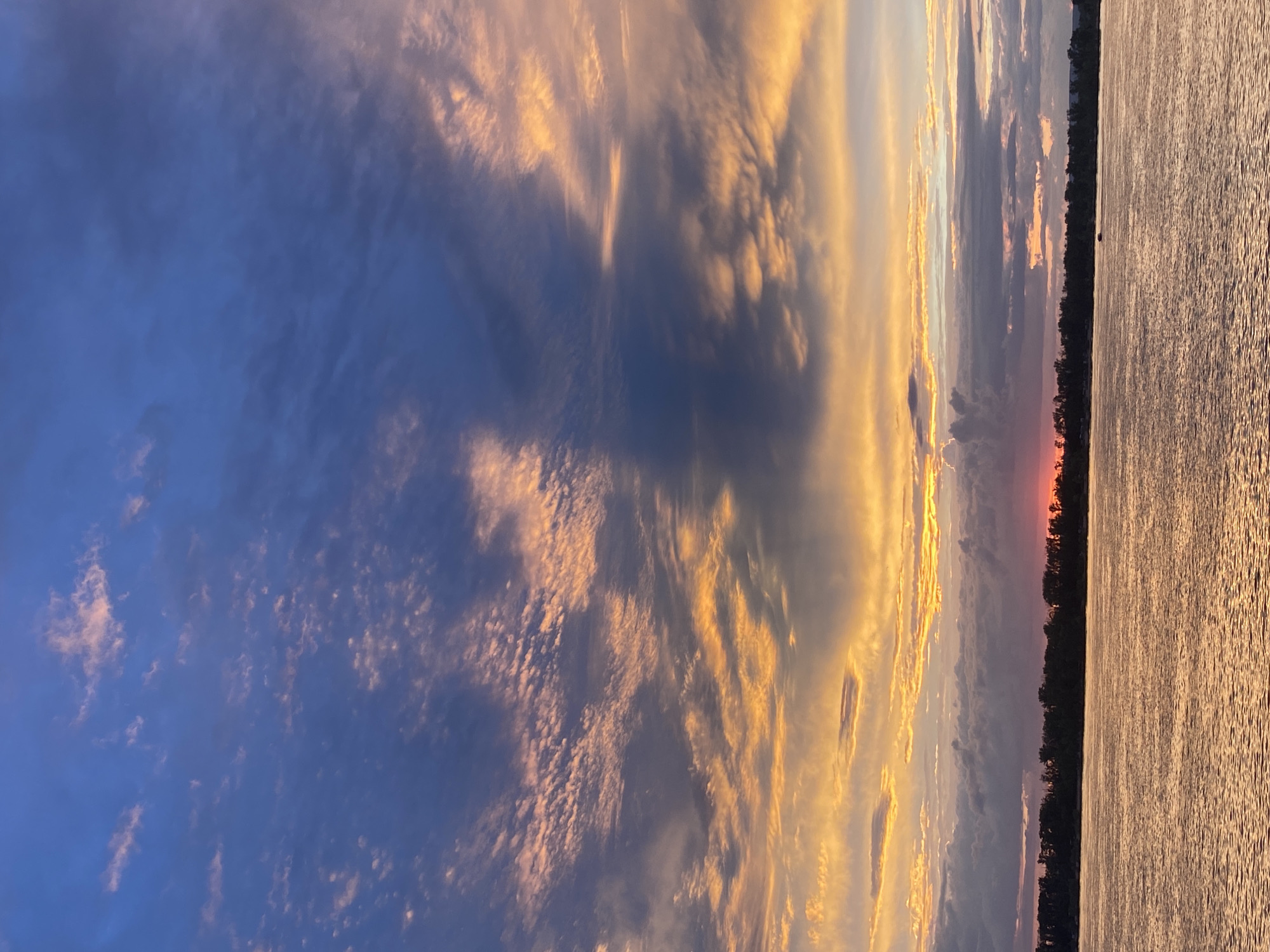 A wide shot captures a body of water in Novokuybyshevsk, Russia, at sunset. The sky is a vibrant mix of deep blues, purples, and oranges, with clouds streaked with pink and yellow. The water reflects the warm hues of the sky, appearing golden and rippled. A dark silhouette of trees lines the horizon, with a few distant lights visible. The overall scene is serene and picturesque, showcasing the natural beauty of the Russian landscape during twilight.