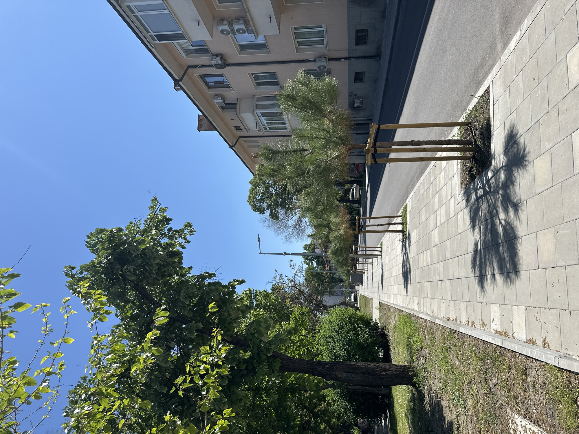 The image shows a street scene in Plovdiv, Bulgaria. A multi-story building with windows and air conditioning units runs along the upper right edge of the frame. A sidewalk, paved with gray rectangular stones, extends along the right side of the image, bordered by a narrow strip of grass and soil. Small trees are planted in intervals along the sidewalk, some supported by wooden stakes. The shadow of one of the trees is cast on the sidewalk. A street runs parallel to the sidewalk and building. Larger, mature trees with green foliage fill the left side of the image, partially obscuring the sky, which is a clear blue. A street lamp is visible in the background.