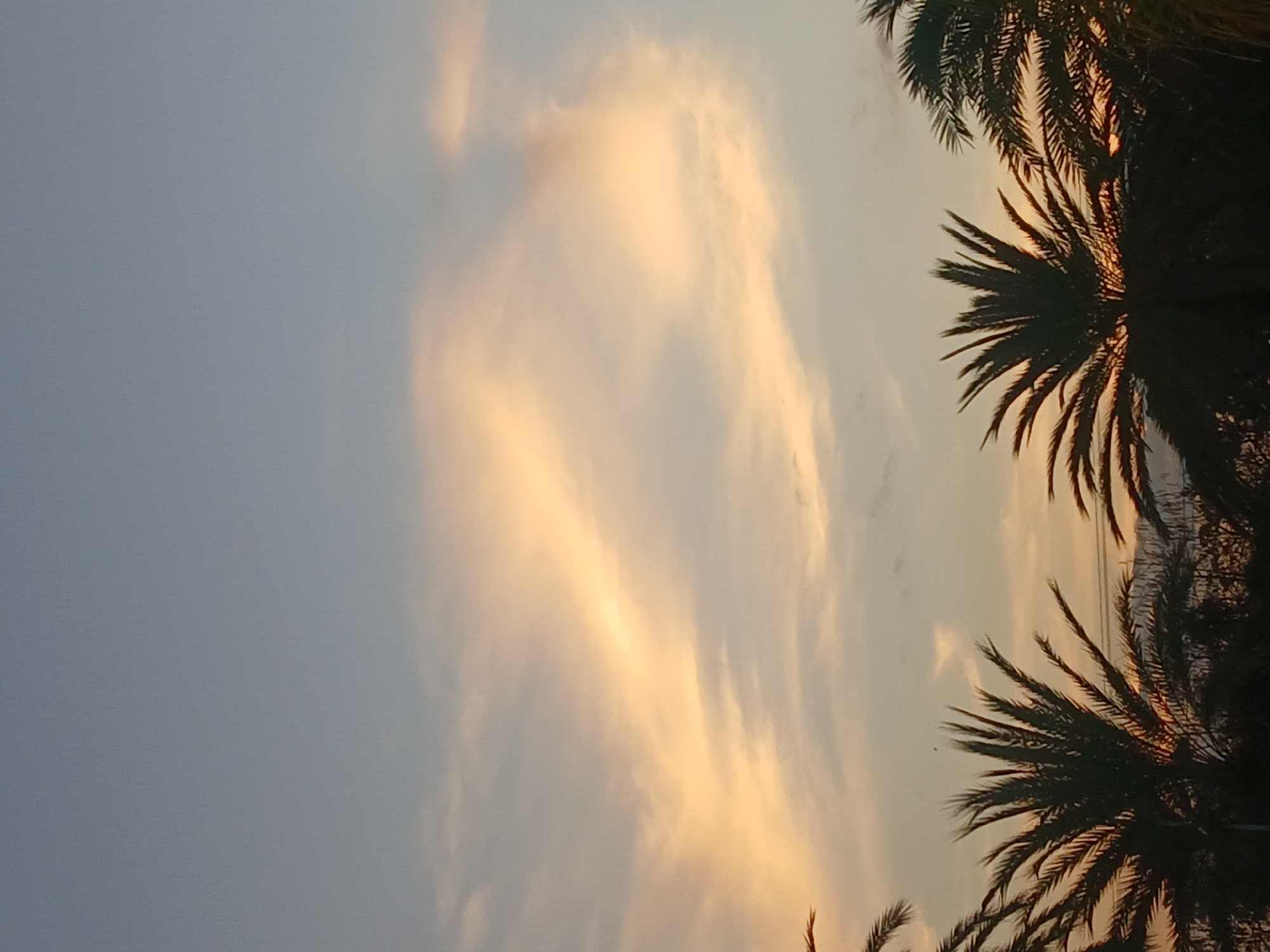 The image shows a view of the sky at sunset or sunrise in Ciudad Guayana, Venezuela. The sky is a mix of blue and orange hues, with clouds visible. Silhouetted palm trees are in the right side of the frame. There are no people visible in the image.