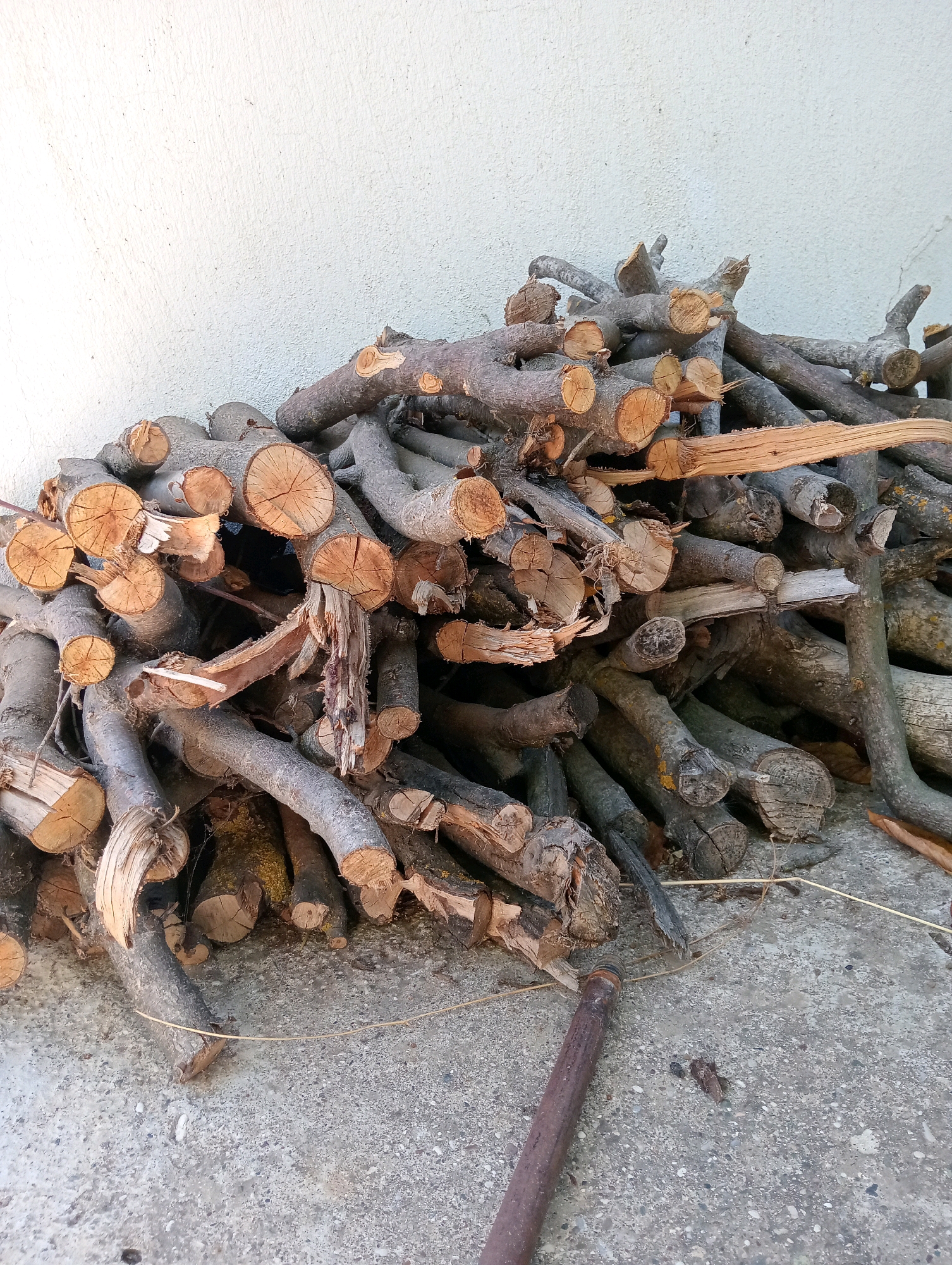 A pile of chopped firewood is leaning against a textured off-white wall on a gray concrete surface. The wood consists of various-sized branches, some showing cut ends with visible growth rings, and others with rough bark. A thin, dry vine or string is draped across the logs and onto the concrete. In the foreground, a rusty metal rod or pipe lies on the concrete. The scene appears to be outdoors. This image was taken in Silifke, Turkey.