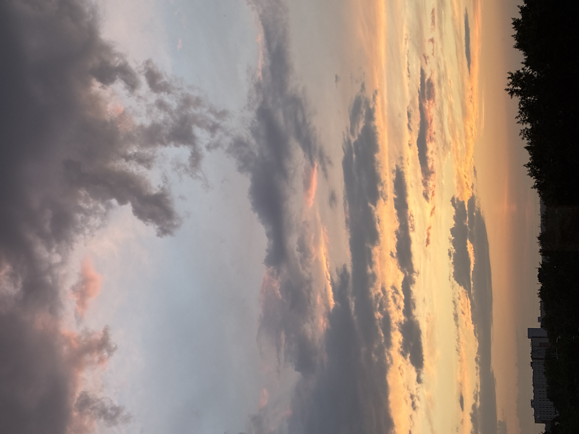 An eye-level shot captures a dusky sky over a city. The sky is filled with a mixture of grey and pink clouds, with streaks of orange and yellow peeking through. In the foreground, silhouetted against the colorful sky, is a line of dark trees. Behind the trees, several multi-story buildings are visible, their forms indistinct in the fading light. The overall impression is one of a calm, serene evening scene.
