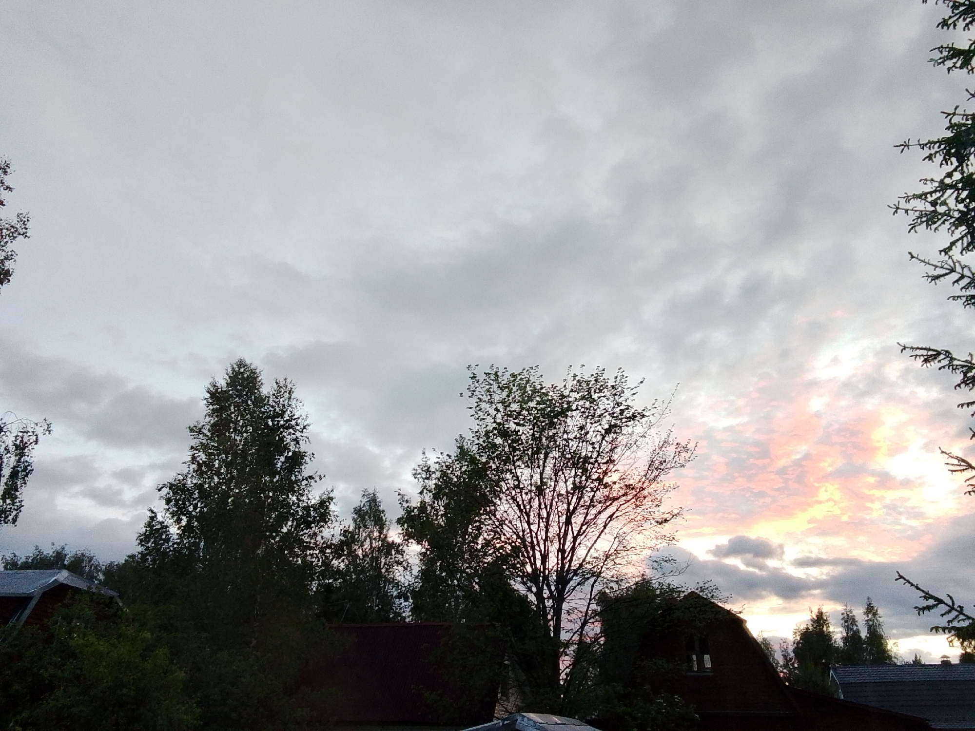 The image depicts a sky with grey and pink clouds at sunset, partially obscured by trees and roofs. The location is 1-Go Maya, Russia. Houses with brown and grey roofs are visible under a dense foliage line. Evergreen branches frame the right edge of the image. The clouds are varied in color, transitioning from grey to pink-orange.