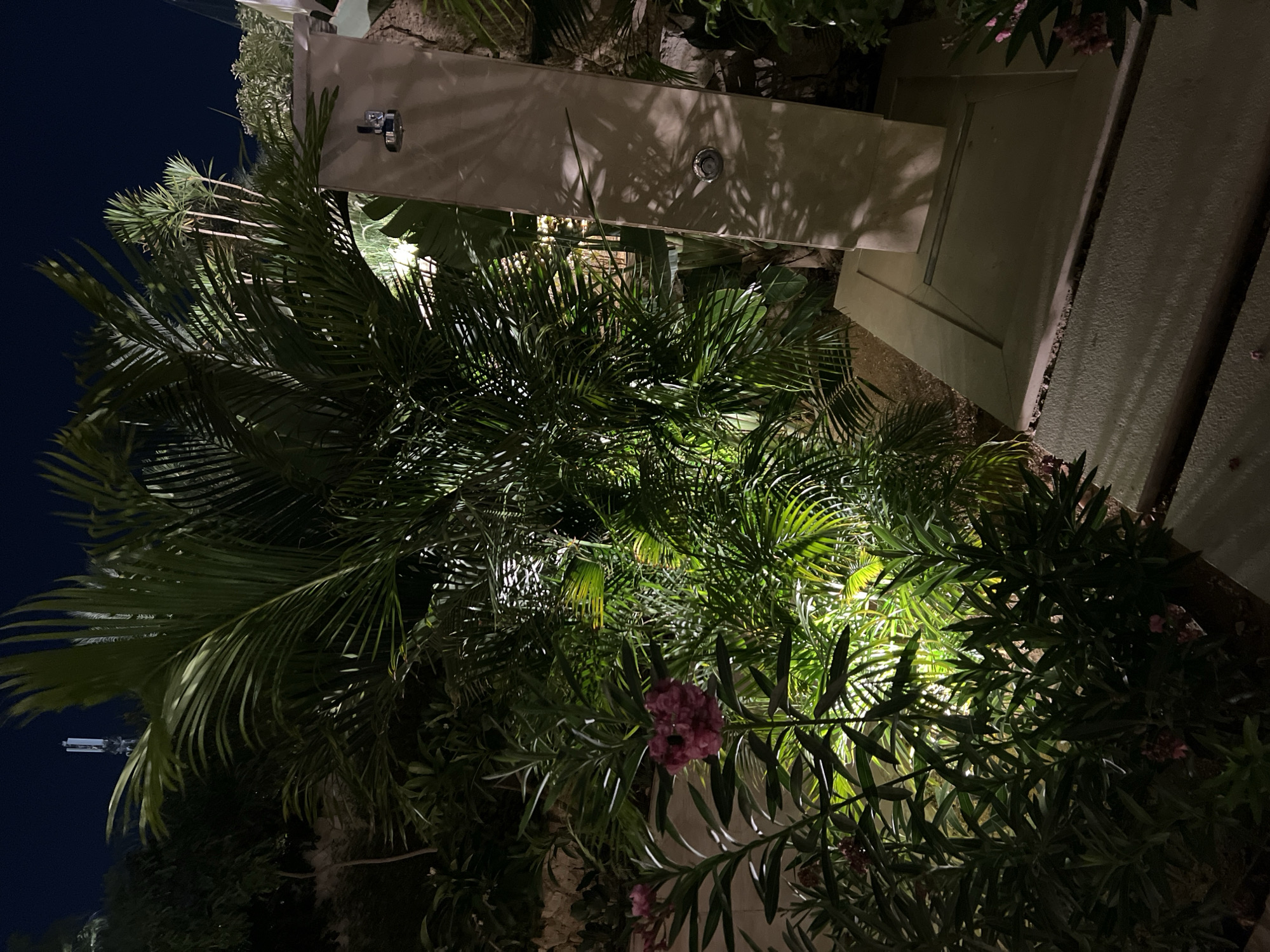 The image depicts an outdoor scene at night, illuminated by artificial lighting, in Sharm El Sheikh, Egypt. A prominent feature is a tall, modern outdoor shower structure made of beige stone, equipped with two shower heads. Adjacent to the shower, lush green palm trees and other tropical foliage create a dense, verdant atmosphere. In the foreground, a plant with delicate pink flowers is visible. The ground appears to be paved with light-colored stone or concrete. In the background, a faint silhouette of a distant communication tower can be seen against the dark night sky, suggesting an urban or semi-urban setting within the city. The overall impression is one of a tropical, well-lit outdoor space, possibly part of a resort or private residence.