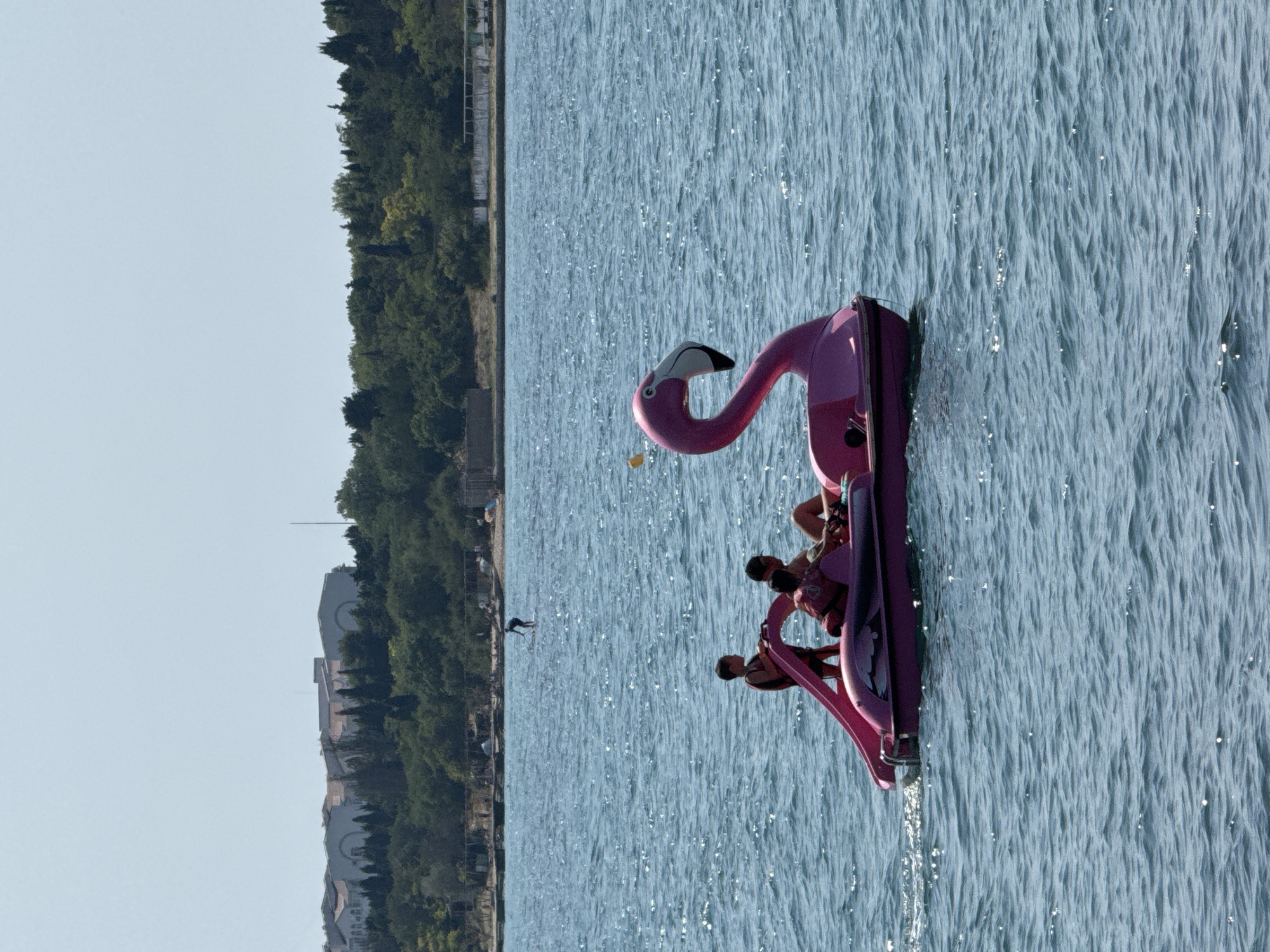 A pink flamingo-shaped pedal boat with three occupants is on the water. Two children, wearing life vests, are positioned at the front of the boat, with one standing and looking forward, and the other seated. An adult is seated behind them, appearing to operate the pedals. The boat is moving, indicated by a wake behind it. In the background, a shoreline is visible, lined with trees and buildings. Further out on the water, a person is stand-up paddleboarding. The sky is clear and blue. The scene appears to be a recreational area by the sea, likely in Sevastopol, Ukraine, given the context of the prompt.
