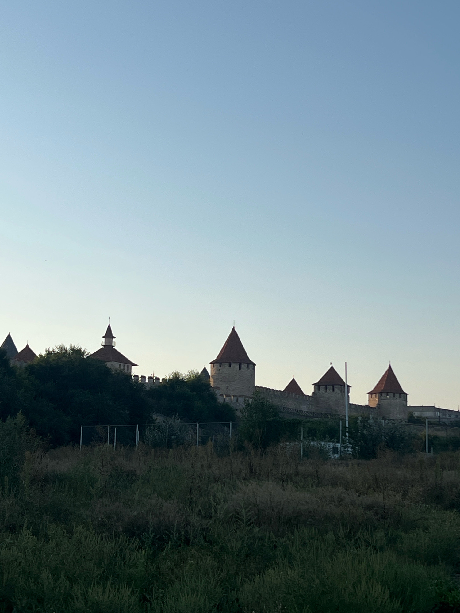 The image shows the Bender Fortress, a historical defensive structure located in the city of Bender, Moldova. The fortress is situated on a hill overlooking a grassy area in the foreground. The fortress itself is composed of stone walls and several towers with red conical roofs. The sky above is clear and pale blue, suggesting it is either early morning or late afternoon. The surrounding vegetation is green, with trees and bushes partially obscuring the lower parts of the fortress walls. The scene is tranquil and devoid of human presence.