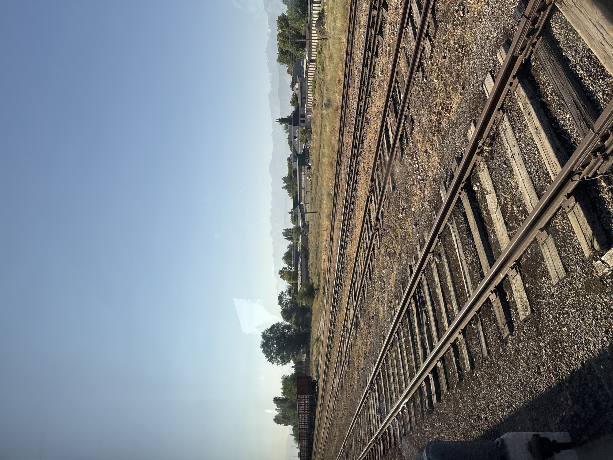The image depicts a railway yard with multiple tracks stretching into the distance. In the foreground, several sets of parallel train tracks are visible, laid on a bed of gravel and dry earth. The tracks appear weathered and well-used, with wooden sleepers supporting the metal rails. On the far left, a portion of a person's arm and shoulder is visible, suggesting they are seated or leaning near a window.
In the middle ground and background, a long train composed of open-top freight cars is parked on one of the tracks, its cargo not clearly discernible. Beyond the train, there is a field of dry grass and scattered trees. Further in the distance, a line of buildings and structures can be seen, some appearing industrial or like warehouses, with a fence running along the front of some of them. Behind the buildings, a range of mountains under a clear blue sky is visible, suggesting a rural or semi-rural setting. The overall scene is one of a functional, operational railway yard under a bright, sunny sky.