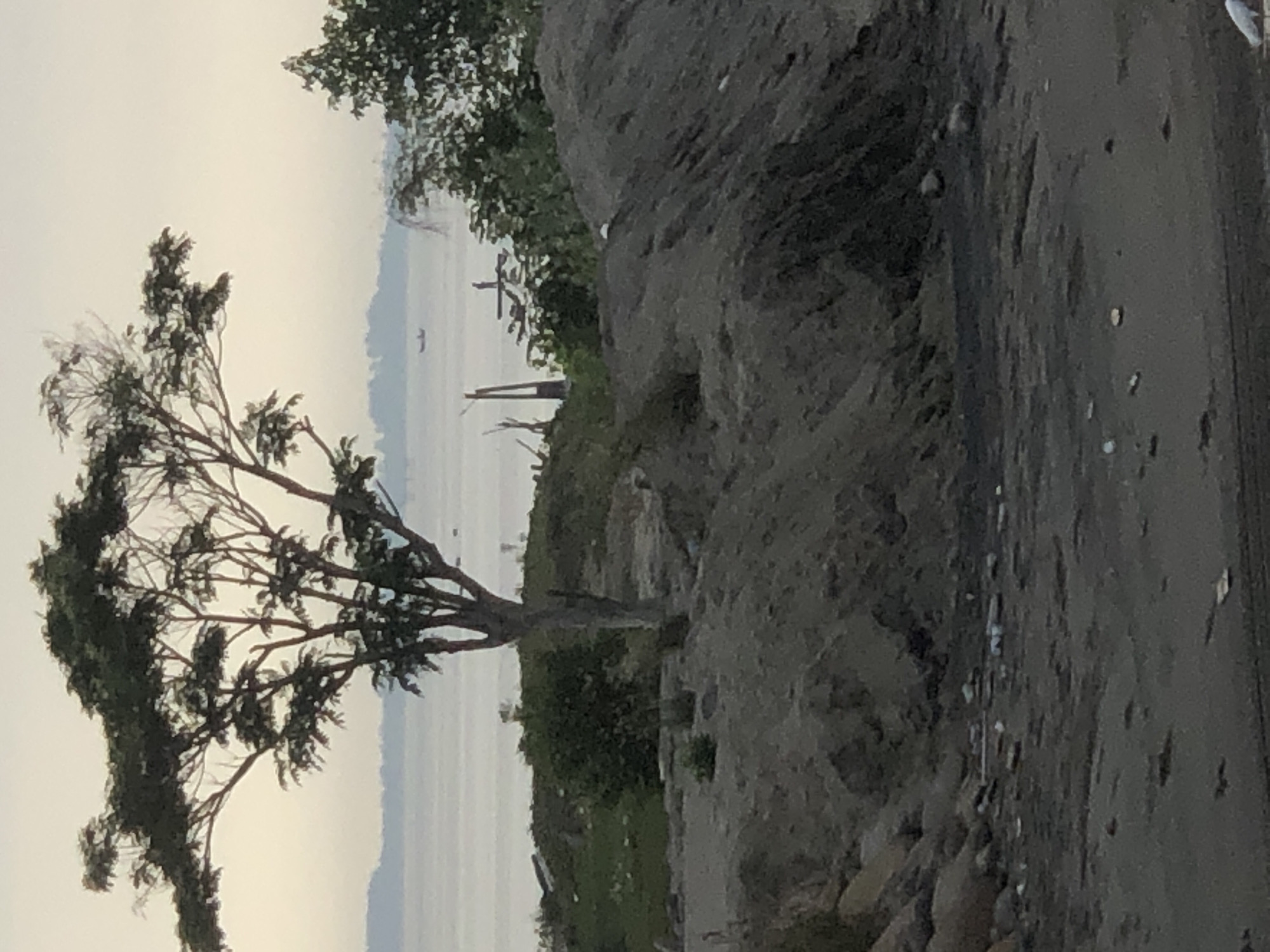 The image depicts a landscape scene with a body of water in the background, likely the sea or a large river, given its proximity to Lhokseumawe, Indonesia, a coastal city. In the foreground, there are piles of dirt and sand, possibly from construction or excavation. Vegetation, including trees and bushes, is scattered throughout the scene, with one prominent tree in the mid-ground. A small boat is visible on the water in the distance, suggesting human activity or transportation. The overall environment appears to be somewhat undeveloped and possibly undergoing changes, as indicated by the disturbed earth. The lighting suggests it is either early morning or late afternoon, with a soft, diffused light.