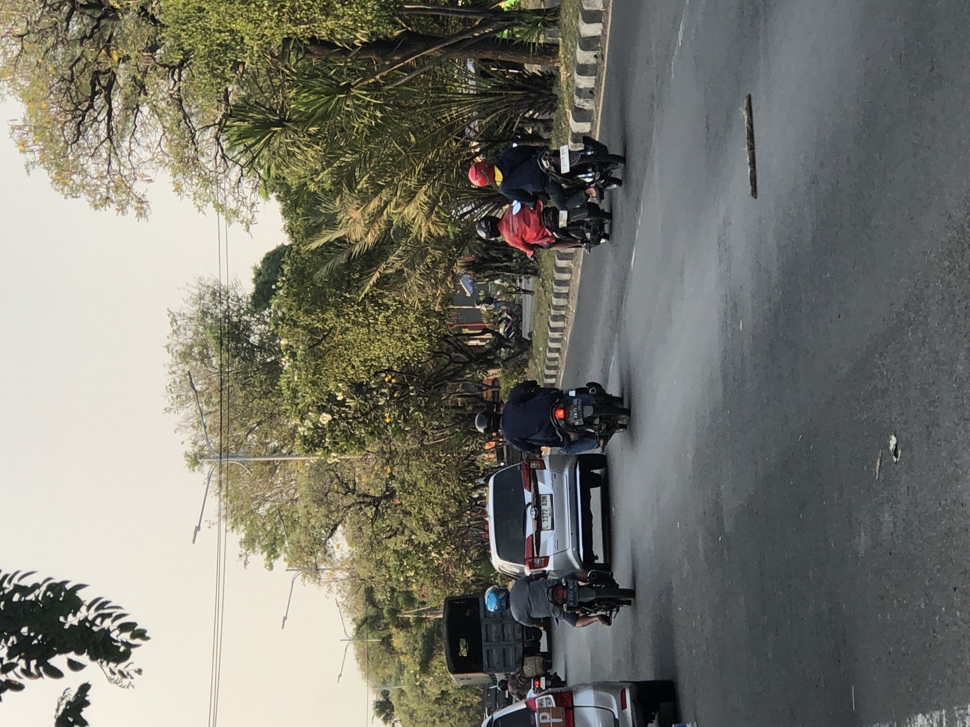 This is a medium shot, taken from a street level perspective, of a road in Ngaban, Indonesia. The time appears to be late afternoon, given the soft, warm lighting. The road is asphalt and has two lanes visible. There are several vehicles on the road: a silver SUV in the center of the frame with license plate "L 1172 ADN", a dark colored truck to the left, a silver car on the far left, and four motorcycles.
There are five people visible, all on motorcycles. One person on a motorcycle in the foreground to the left is wearing a blue helmet and a gray shirt. To the right of the SUV, two people are on a motorcycle; the driver is wearing a blue jacket and a yellow shirt, and the passenger is wearing a red shirt. Further to the right, another motorcycle has a driver wearing a black helmet and a dark blue jacket. The fifth person is on a motorcycle further in the distance, to the left of the truck, wearing a patterned shirt.
The road is bordered on the right by a concrete curb and a grassy median. Lush green trees and foliage line the median, with some palm trees and flowering bushes visible. There are streetlights along the side of the road. The sky is a pale, hazy blue, indicating a clear but possibly dusty atmosphere. There is a single piece of debris, possibly a twig or branch, lying on the road in the lower right quadrant of the image. The overall impression is of a busy, urban street scene in a tropical environment.