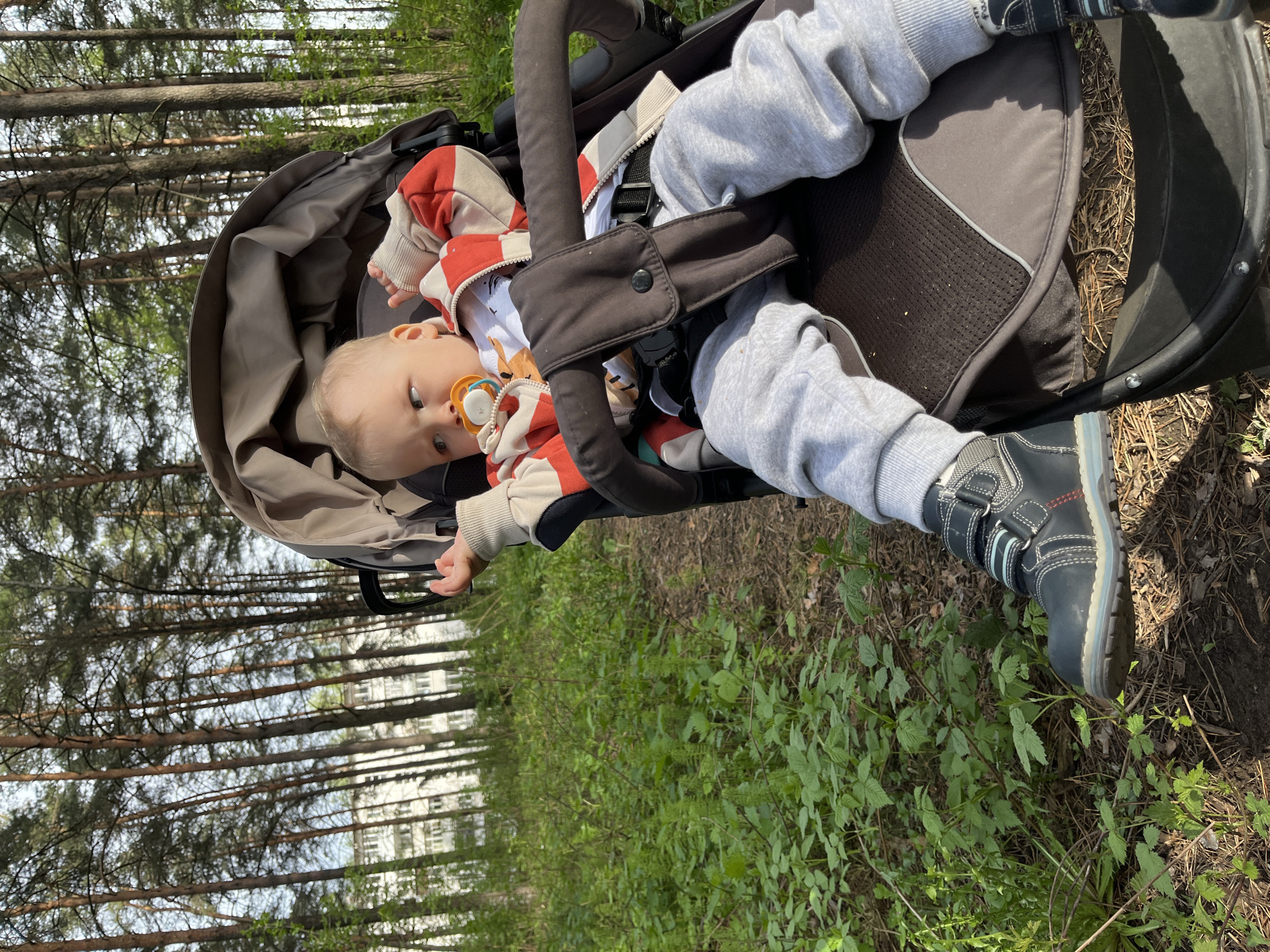 A baby is lying in a stroller in a forest. The baby is wearing a red and white striped jacket, gray sweatpants, and dark-colored shoes. The baby has a pacifier in their mouth. The stroller is on a dirt path with green plants and grass. Tall pine trees are on either side of the path, and a multi-story building can be seen in the background through the trees. The location is Chaikovsky, Russia.