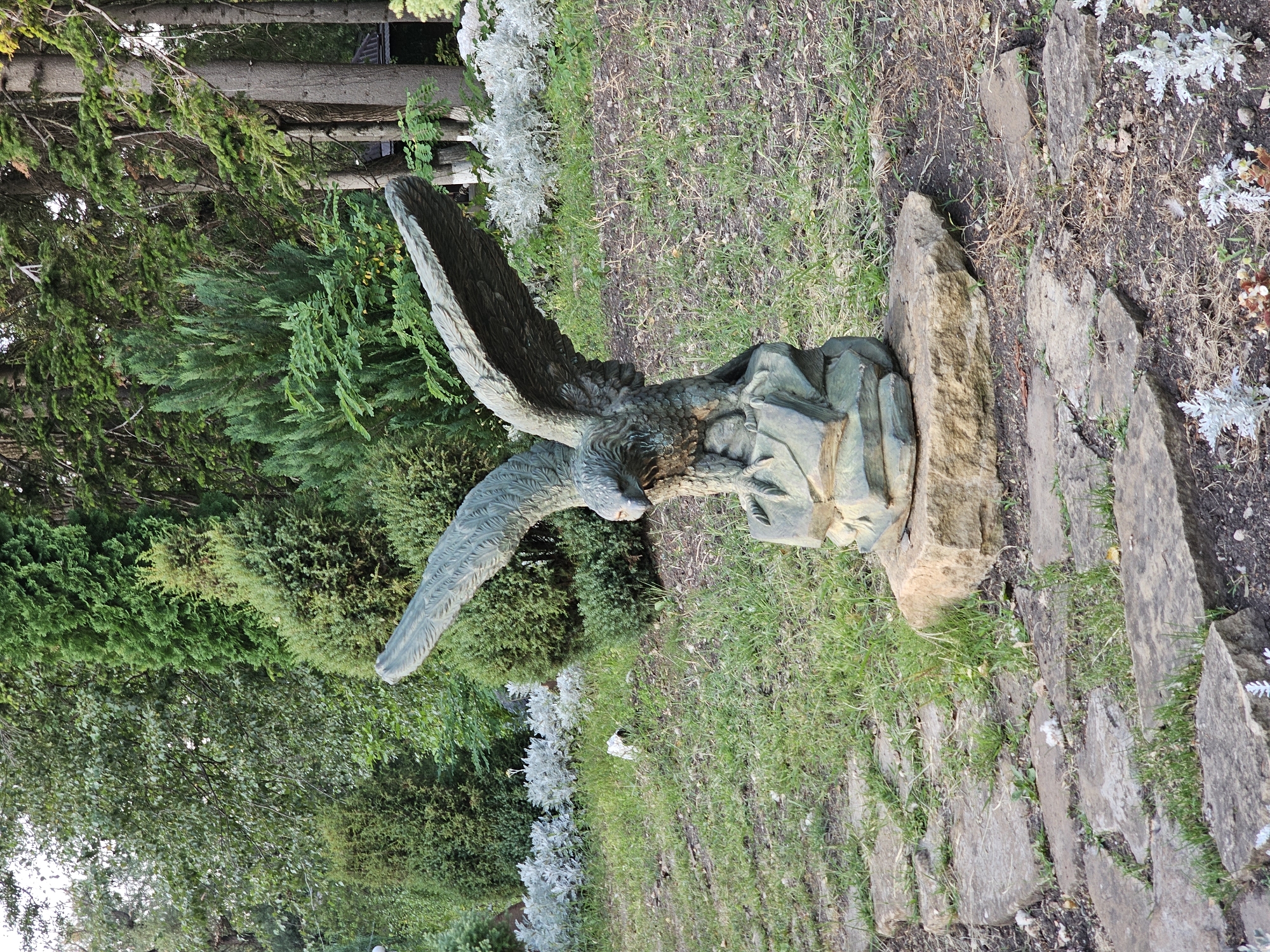 This is a full-frame, eye-level, outdoor, daytime photograph of a bronze sculpture of an eagle in a garden setting. The sculpture is centrally located and depicted in a dynamic pose with its wings spread as if about to take flight. It rests on a rough, naturalistic base, which in turn sits on a larger, flat stone. The sculpture's weathered bronze surface shows intricate feather details and a keen expression.
The garden environment features lush green grass, scattered dry leaves and twigs, and a pathway made of irregular flagstones. In the background, a variety of trees and shrubs create a dense, verdant backdrop. Some of these are coniferous trees, their dark green foliage contrasting with the lighter greens of deciduous trees and bushes. White, feathery-leaved plants are visible in the foreground and middle ground. The lighting suggests a slightly overcast day or late afternoon sun, casting soft shadows.
The sculpture is located in the Garden of Culture and Recreation "Zelyony Ostrov" (Green Island) in Cherkessk, Russia. This garden is a popular public space known for its diverse flora and art installations. The eagle sculpture is a prominent feature, symbolizing strength and freedom. There are no people or animals visible in the photograph. The overall impression is one of natural beauty enhanced by artistic expression.