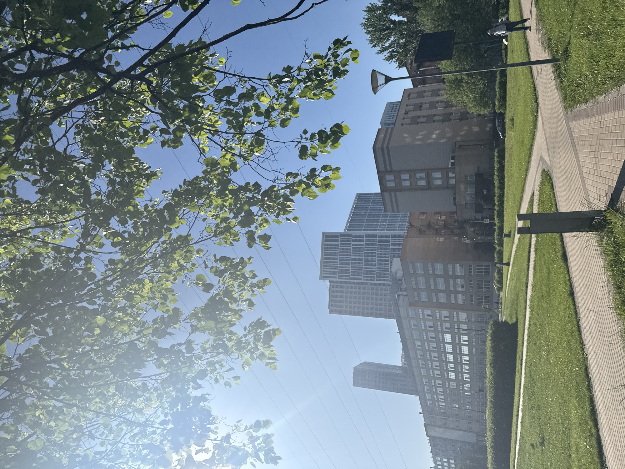The image shows a view of a street in Moscow, Russia. A tree with green leaves is visible in the foreground. In the background, there are several tall buildings, including apartment buildings and office towers. A paved sidewalk is present on the right side of the frame, along with a green lawn. A street light is also visible. A person can be seen walking in the distance. Power lines run across the sky. The sky is blue and the sun is shining.