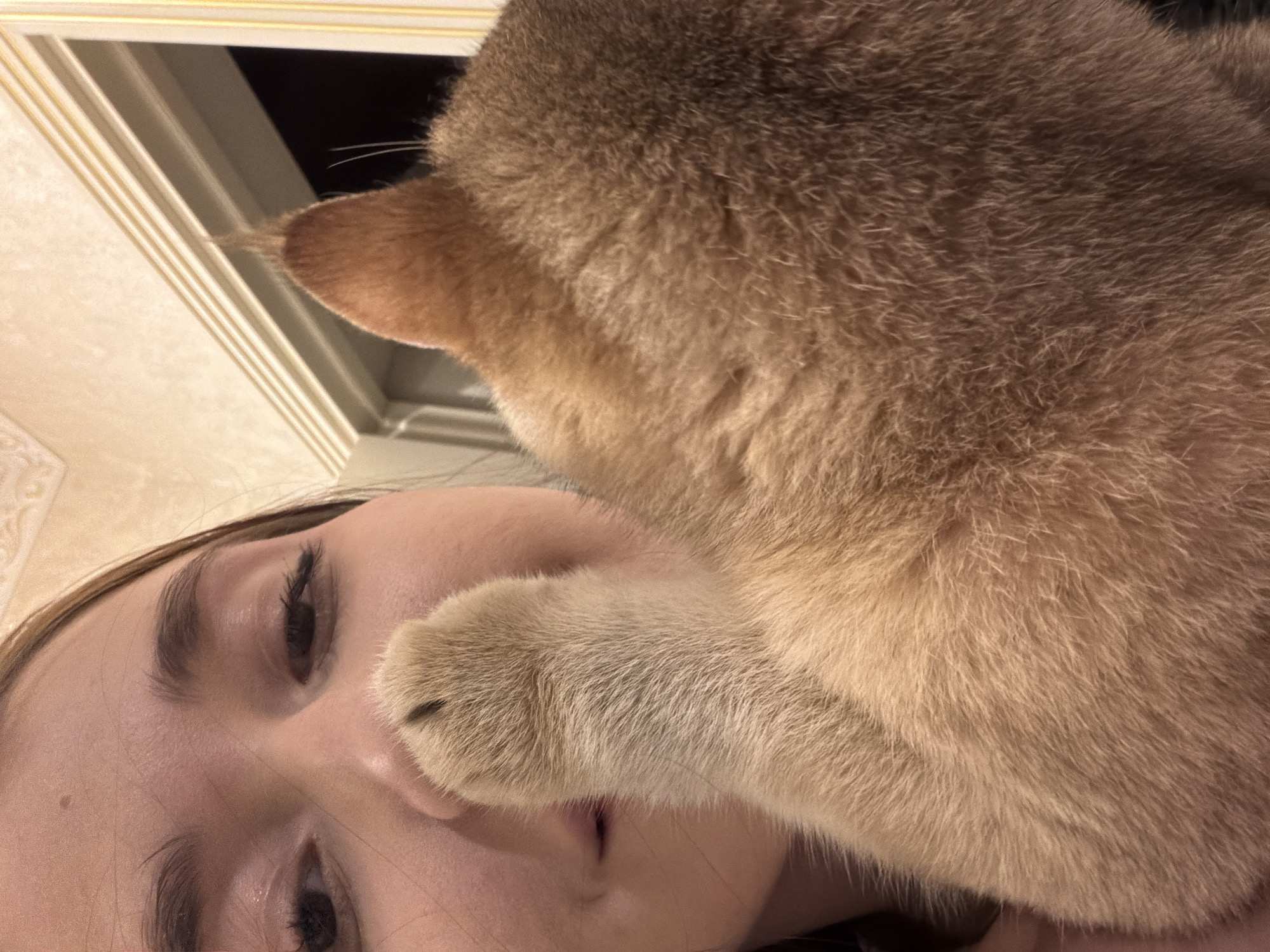 A young woman is close-up with a ginger cat, the cat's paw is resting on her nose and the cat's face is obscured. The woman's eyes are partially closed and she is looking downwards. The cat's ear is visible and pointing upwards. The background appears to be indoors, with a doorway and decorative molding visible. The overall lighting suggests a dimly lit interior.