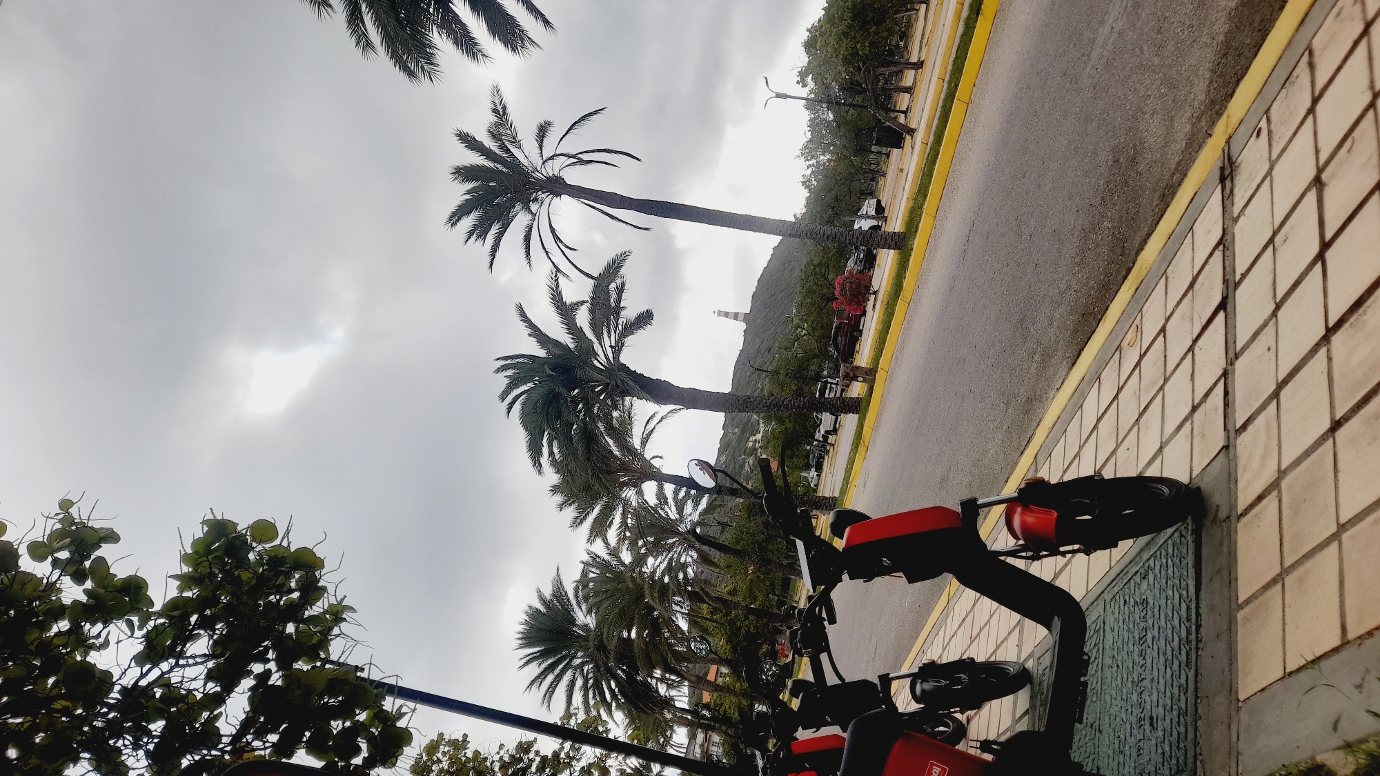 In Pedro González, Venezuela, a cloudy day features a line of parked red and black electric scooters along a tiled sidewalk. Beyond the sidewalk, a paved road with yellow lane markers runs parallel to a row of palm trees. In the distance, a lighthouse with red and white stripes stands on a tree-covered hill. The scene is quiet, with no people visible.