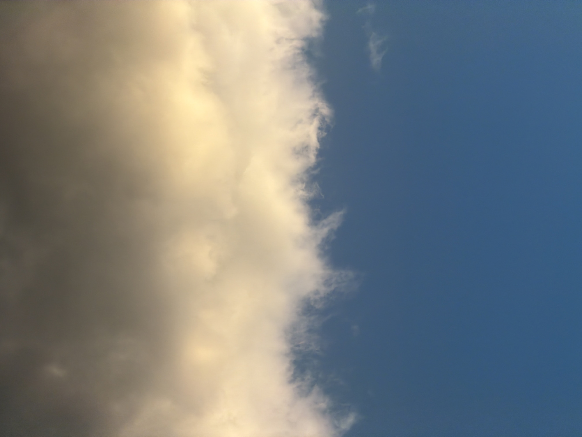 The image shows a partial view of a sky, roughly divided in half. The left side is dominated by a large, dense cloud formation with varying shades of grey and cream, suggesting depth and possible internal lighting. The right side is a clear, deep blue sky. The image does not contain discernible details that would indicate the location in Sofia, Bulgaria. There are no people, objects, or specific environmental features identifiable. The subject is solely the sky and cloud formation.