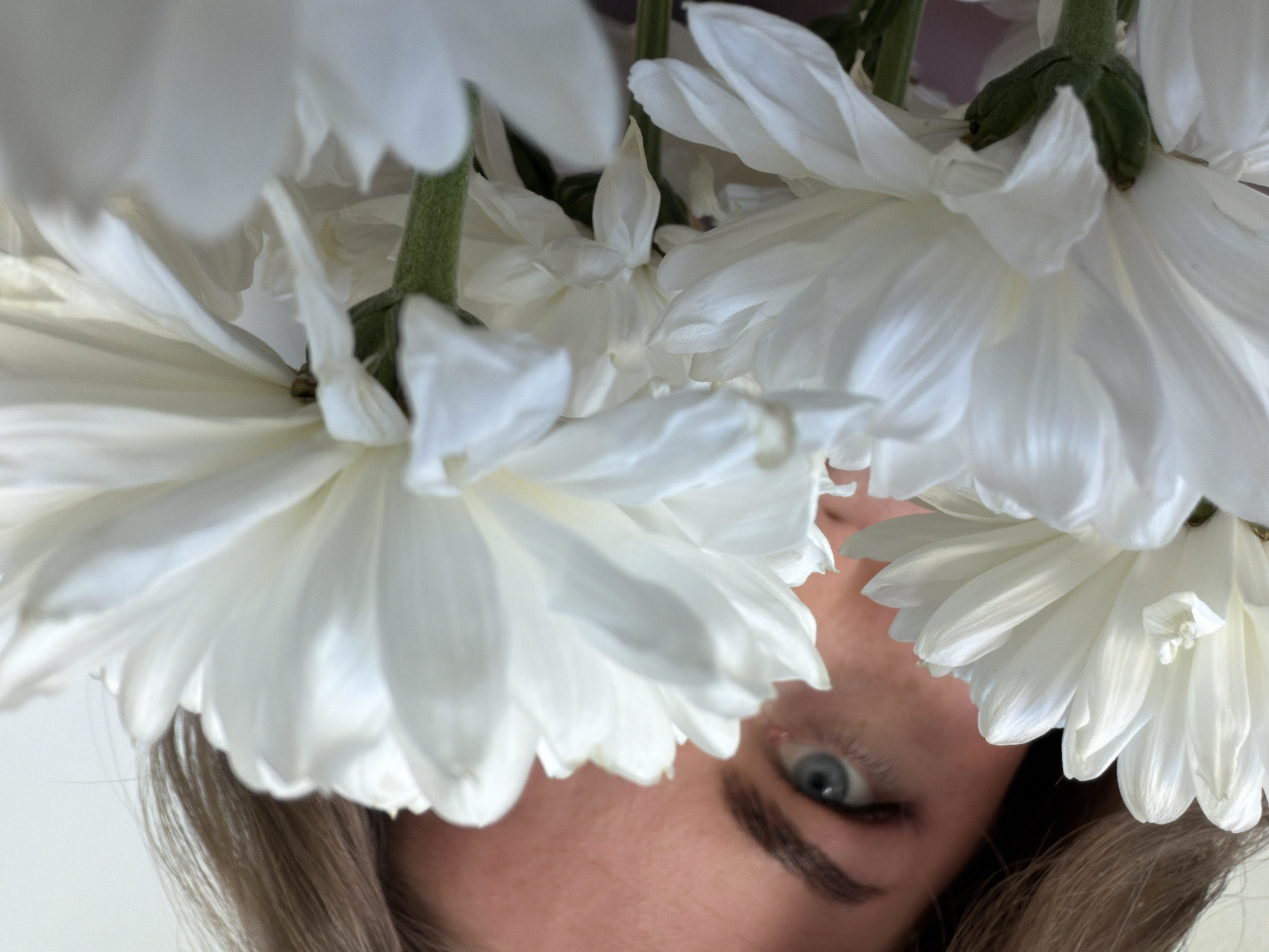 The image shows a close-up, upside-down view of a person's face partially obscured by white chrysanthemums. The person has fair skin, a visible blue eye, and brown eyebrows. Light brown hair is visible near the bottom of the image. The focus is split between the person's eye and the white petals of the flowers. The background is out of focus and predominantly white. No elements indicate a specific location in the city of Chaikovsky, Russia.