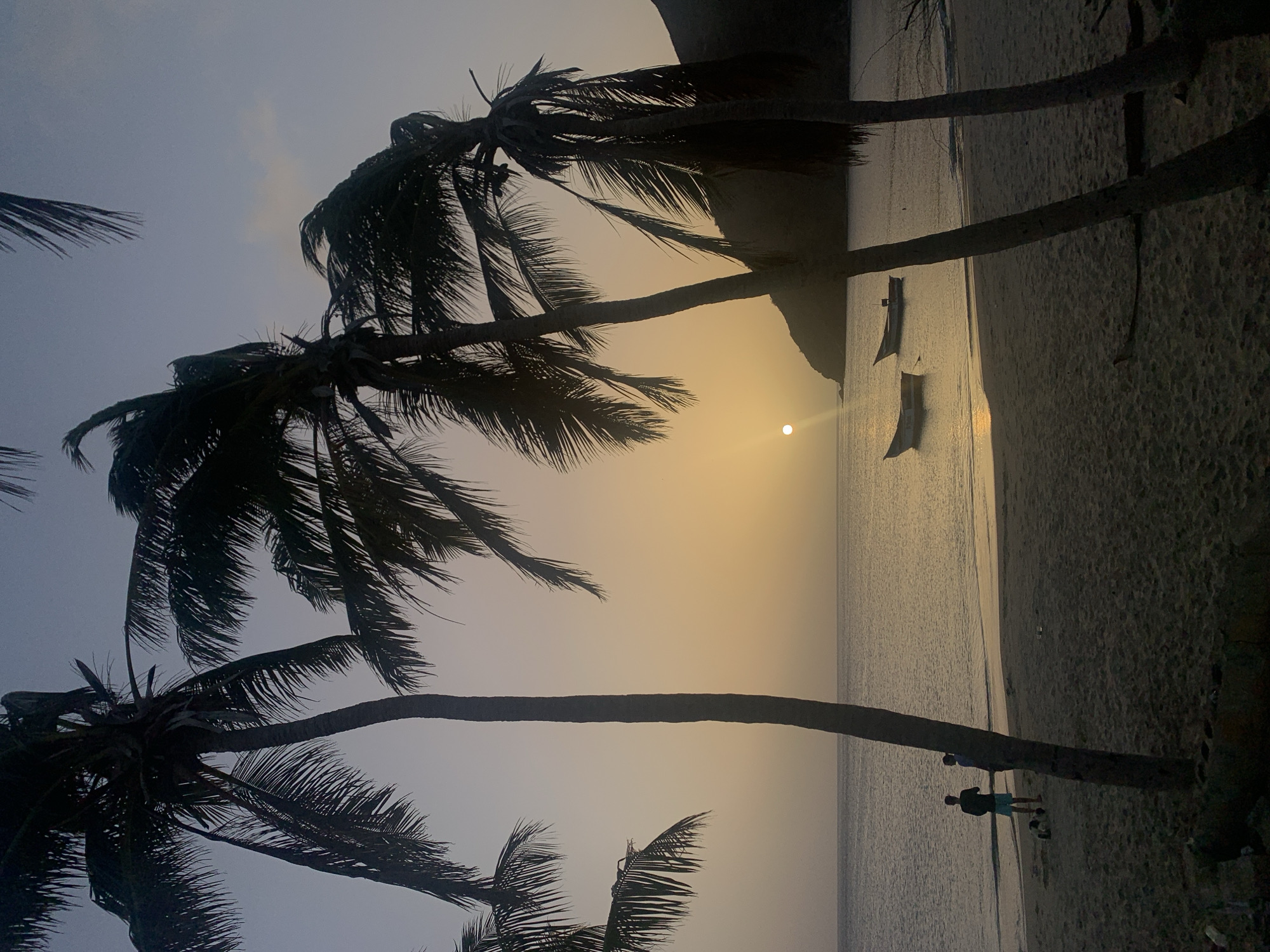 The image captures a serene coastal scene, rotated 90 degrees clockwise from its natural orientation, depicting a beach at either sunrise or sunset in Juan Griego, Venezuela.
The central element is a bright, low-hanging sun, casting a brilliant reflection across the calm waters of the ocean, creating a path of light leading towards the horizon. Several tall, dark palm trees dominate the foreground and midground, their trunks and fronds forming distinct silhouettes against the warm, luminous sky. These trees frame the scene, emphasizing the sun and water.
On the tranquil water, two small, traditional-looking boats are visible, also silhouetted. Further out on the horizon, a dark, undulating landmass, likely a mountain or hill, adds depth to the background.
Along the sandy shoreline, two human figures and a small dog are present near one of the palm trees. They are largely silhouetted, with one person standing and the other appearing to be bending or sitting, interacting with the dog. The sky above transitions from a vibrant, soft orange-yellow near the sun to a softer, muted blue-grey higher up, indicating the time of day. The overall impression is one of peacefulness and tranquility. No text is visible in the image.