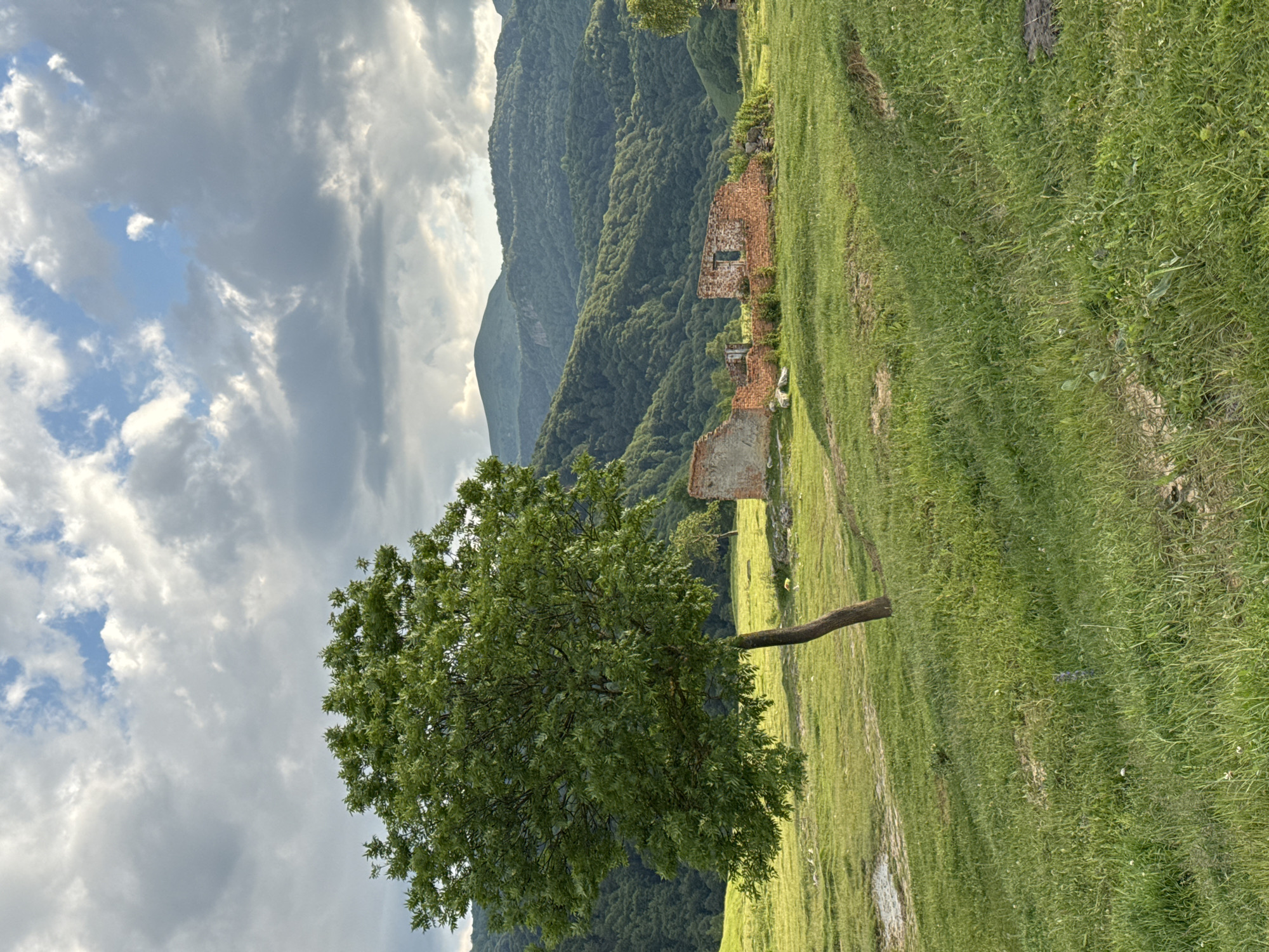 The image depicts a vast, rolling green landscape under a dramatic, cloudy sky. In the foreground, a lone, verdant tree stands to the left, its trunk leaning slightly. To the right, partially obscured by grass, are the brick ruins of a structure, showing crumbling walls and an open doorway. The middle ground features more green, grassy fields, with hints of what appear to be scattered white objects, possibly sheep. In the background, a dense, tree-covered mountain range stretches across the horizon, its peaks softened by the distance. The sky is filled with large, gray, and white clouds, with patches of blue sky peeking through. The overall scene conveys a sense of pastoral solitude and natural beauty, with the ruins adding a touch of historical mystery. The location is identified as the village of Nizhnyaya Mara, Russia.