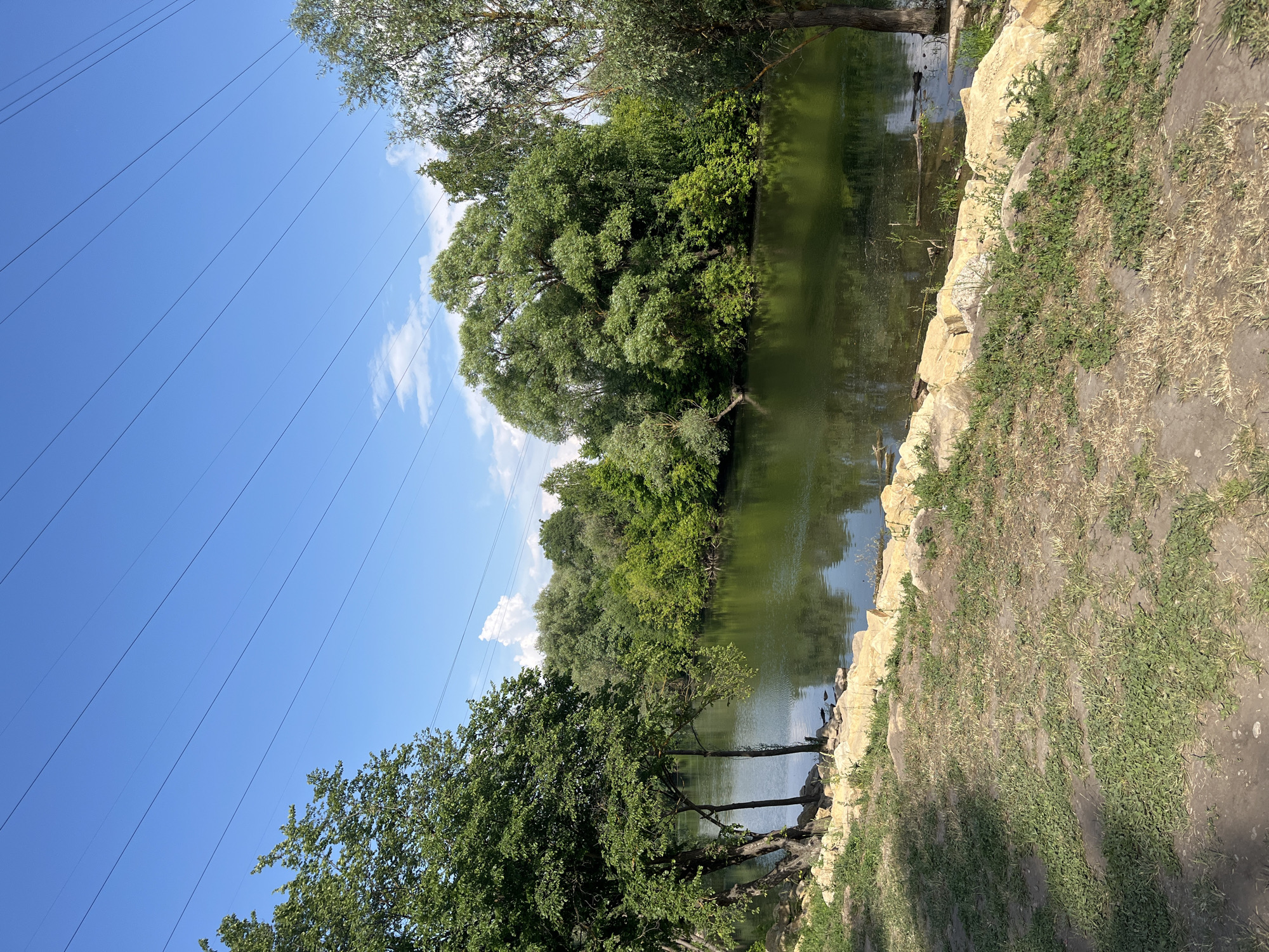 The image depicts a calm river flowing through a green, wooded area under a bright blue sky with scattered white clouds. The riverbanks are lined with lush green trees of various sizes, with some rocks and dry grass visible on the foreground bank. Several power lines are strung across the sky. The overall scene suggests a natural, tranquil environment within the city of Dachnoe, Russia, likely a park or recreational area. There are no people or animals visible in the image. The water reflects the surrounding trees and sky, creating a serene atmosphere.