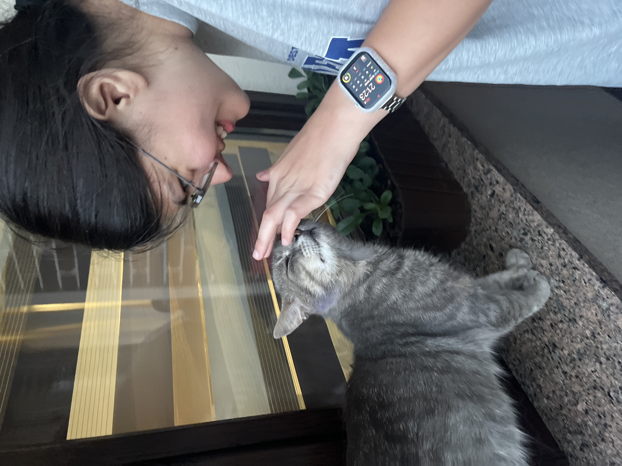 A person with dark hair and glasses is leaning in and gently petting a gray tabby cat. The cat's eyes are closed, and it appears to be enjoying the interaction. They are standing near a window with blinds. The person is wearing a gray t-shirt and a smartwatch on their left wrist. A potted plant is visible in the background. The scene is set on a speckled countertop. The location is the city of Koroviia, Ukraine.