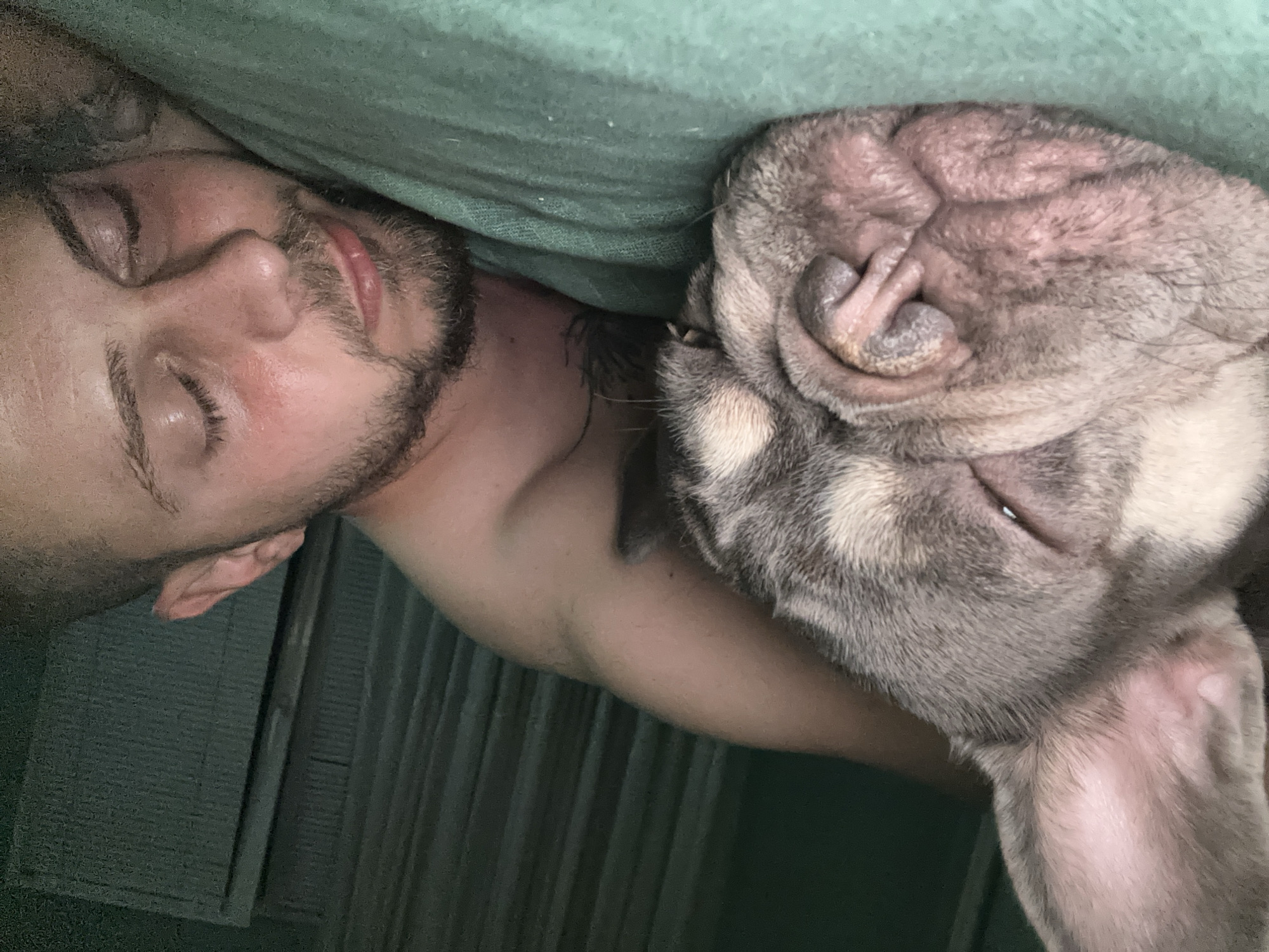 A man and a French Bulldog are sleeping in close proximity on a green surface, likely a bed. The dog is on the left, with its head resting near the man's arm. The man is on the right, with his eyes closed. The background is a dark, textured surface that appears to be a wall or curtain. The lighting is dim, suggesting it may be nighttime or a dimly lit room.