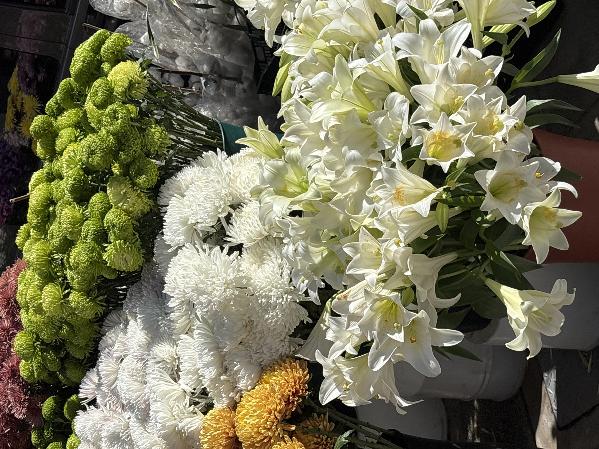 The image presents a close-up, high-angle view of a vibrant assortment of fresh flowers, likely displayed for sale at an outdoor market or flower stall in Buenos Aires, Argentina. The scene is bathed in bright natural sunlight, creating sharp contrasts between illuminated petals and shadowed areas, indicating it is daytime.
The left side of the frame features large bouquets of compact, spherical flowers, predominantly a vivid light green, with hints of reddish-purple flowers visible towards the bottom left. Adjacent to these, voluminous bunches of white chrysanthemums with dense, frilly petals are prominently displayed. Below the white chrysanthemums, a cluster of golden-yellow or orange chrysanthemums adds warmth to the palette.
The right and central portions of the image are dominated by elegant bouquets of white lilies. These lilies showcase their characteristic trumpet-shaped blossoms, many with visible yellow stamens and pollen, suggesting their freshness. A notable detail is a small, dark insect, possibly a fly, resting on one of the white lily petals. The flowers appear to be in peak condition, with their stems bundled together, ready for purchase.
No people are visible in the frame, and there is no discernible text within the image. The overall impression is one of abundant natural beauty and a bustling market atmosphere.
