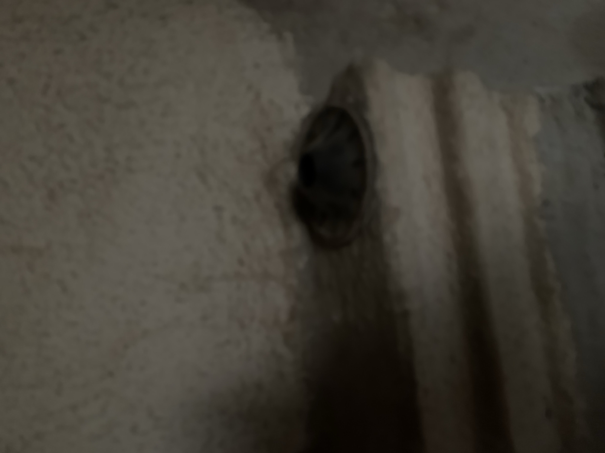 This media file shows a close-up, blurry view of a textured, light-colored wall with some dark lines or grooves. To the left of the image, there is a dark, circular opening embedded in the wall. The opening appears to be a vent or a hole. The lighting is dim, suggesting an indoor or possibly subterranean environment. The wall's texture suggests it might be stucco or a similar material. The image is quite out of focus, making it difficult to discern fine details. No people, text, or specific location cues are visible. The overall impression is one of an industrial or utilitarian setting, possibly a basement, crawl space, or an unfinished architectural feature. The activity or event taking place is not discernible due to the lack of movement and context.
