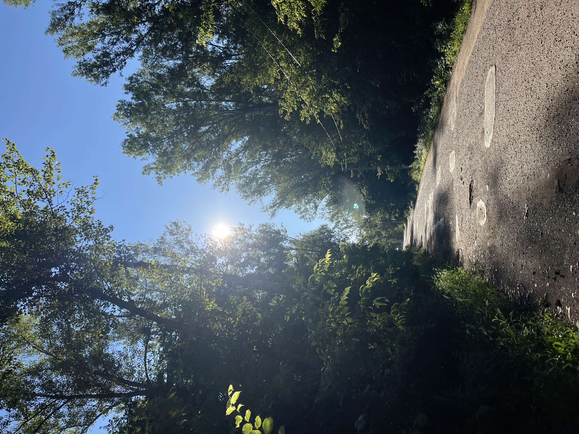 The image shows a paved road winding through a sun-dappled forest. Tall trees with green leaves line both sides of the road, their branches creating a canopy that allows streaks of sunlight to illuminate the path. The sky is a clear, bright blue, with the sun prominently visible in the upper center of the frame, casting lens flares. The road appears to be in moderate condition, with some patches and wear visible on its surface. The overall scene depicts a natural, outdoor environment on a sunny day. This specific location is not identifiable within the image itself, and therefore cannot be determined to be in Blagoveshchensk, Russia, or any other specific city.