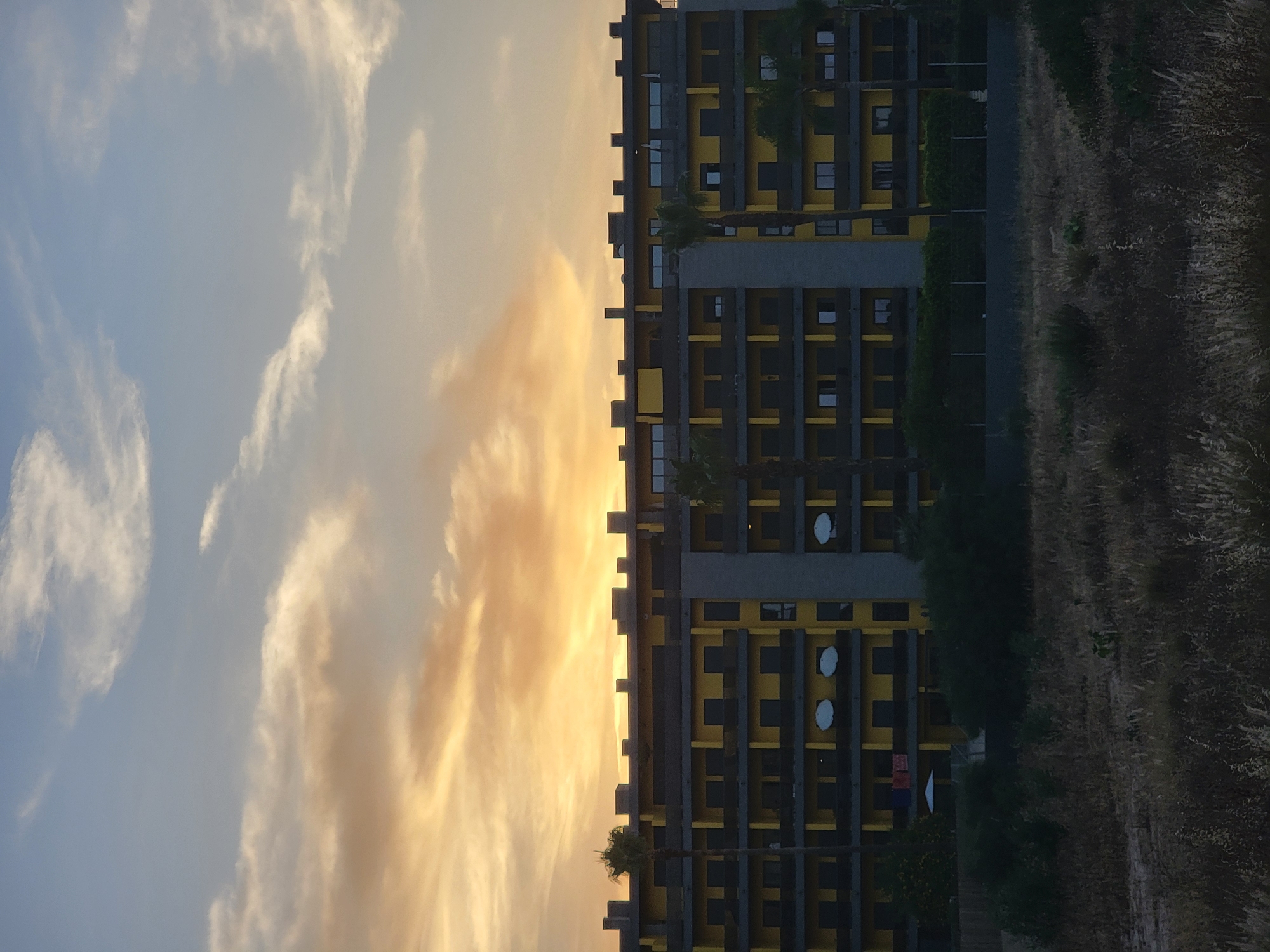 A low-angle, vertical shot captures a modern, multi-story building with a bright yellow facade and gray structural elements against a dusky sky. The building features numerous balconies with dark railings and dark-tinted windows, arranged in a repetitive pattern across its facade. Several palm trees are visible, some taller than the building, and others shorter and framing its sides. The building is set back from the foreground, which is filled with dry, tall grass and sparse vegetation, suggesting a natural or undeveloped area bordering the urban structure. In the distance, a white umbrella and some red items are visible near the base of the building, hinting at outdoor amenities or activity. The sky above is a blend of pale blue and warm, golden-orange hues, with wispy clouds, indicative of either sunrise or sunset. The overall impression is one of a coastal urban environment at twilight. This view is consistent with the architecture found in Quarteira, Portugal, particularly in areas developed for tourism and residential purposes.