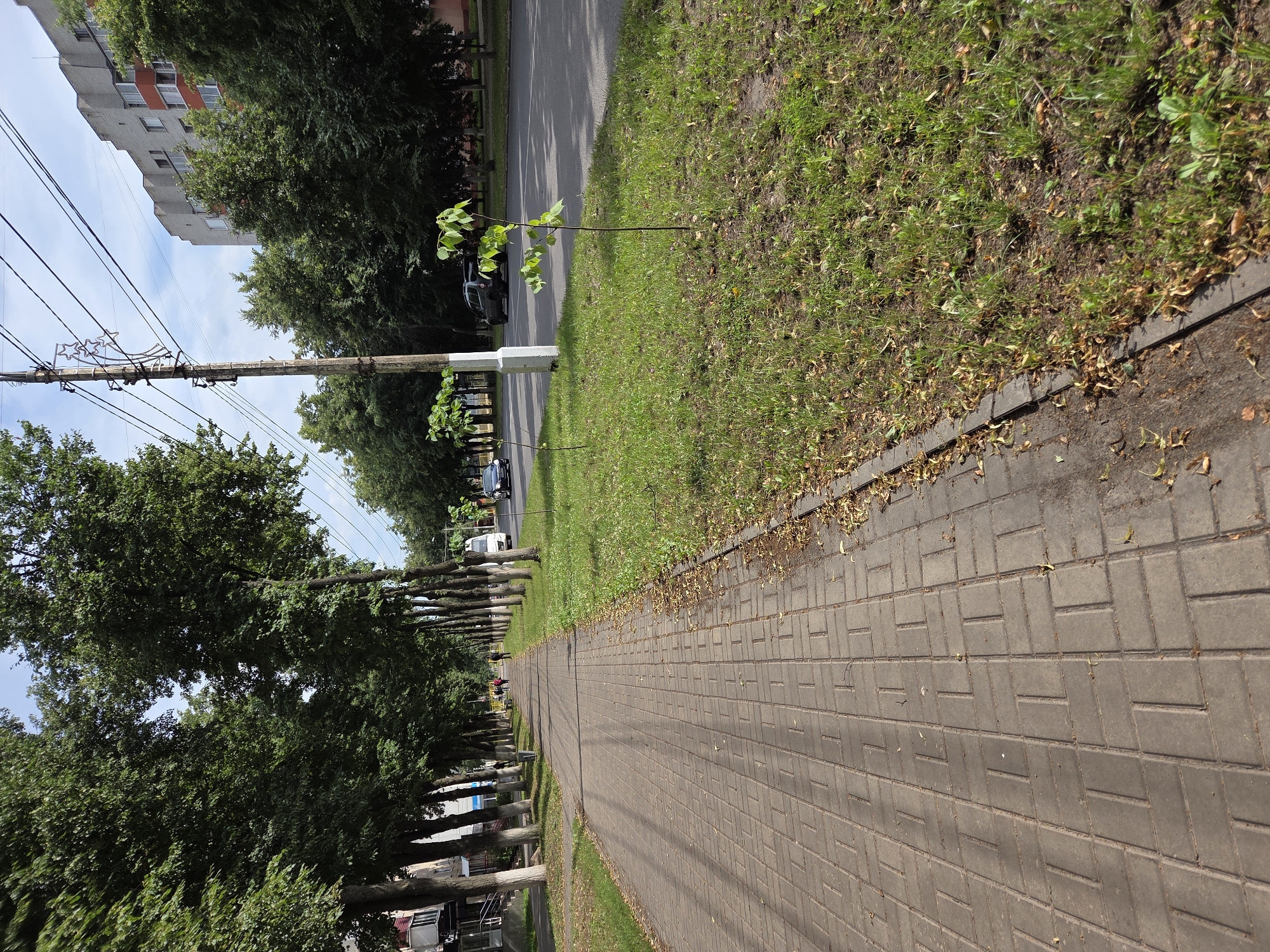 A paved sidewalk with a brick pattern runs along the left side of the image, bordering a grassy area. Several young trees are planted in the grass. Beyond the grass is a street with traffic, including cars and a van. Tall, mature trees line the street, casting shadows. In the background, a multi-story residential building is visible, along with utility poles and overhead wires. The sky is partly cloudy. The scene appears to be a street in the city of Zheleznogorsk, Russia, on a sunny day.