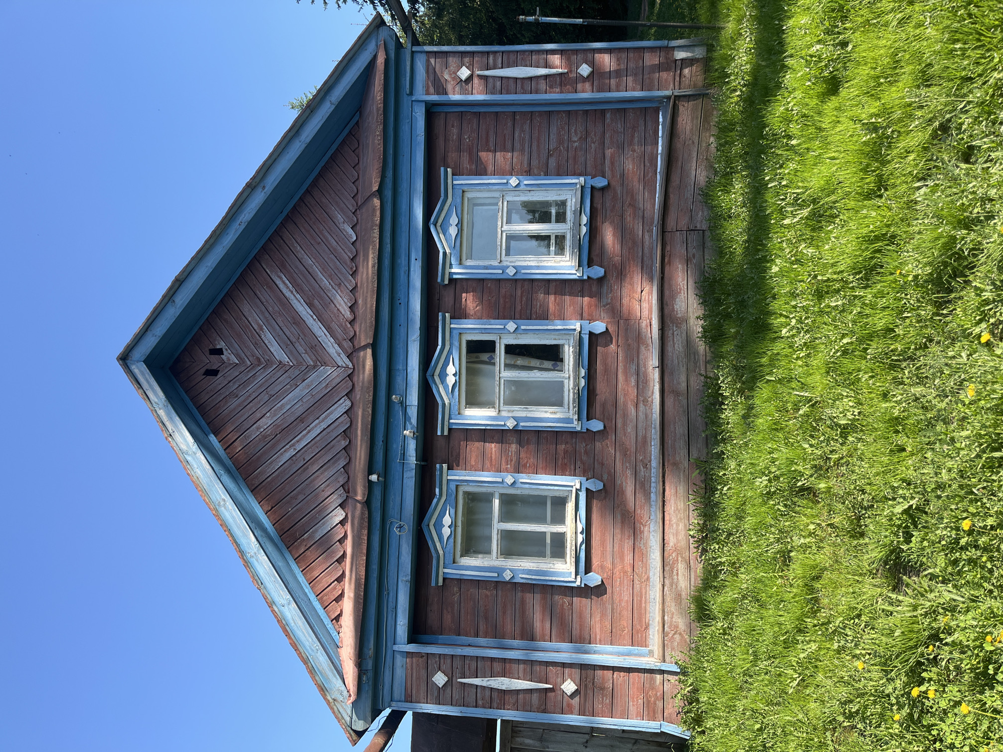 A sideways view of a traditional Russian house in Сапуголи, Russia, is presented. The house, made of wood and painted in shades of red and blue, features three windows on the visible side. The lawn is overgrown and green with dandelions. The sky is clear blue.