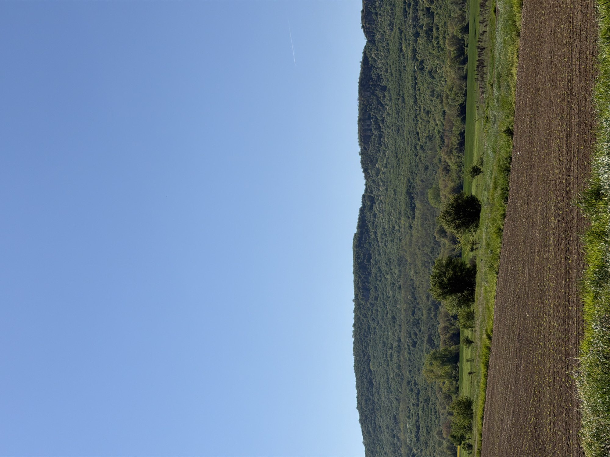 The image depicts a rural scene, possibly near Ioglav, Bulgaria. The right portion of the image shows a plowed field, with visible furrows and sparse vegetation. Adjacent to the field is a steep, densely forested hillside. The left portion of the image is clear blue sky with a contrail. There are no people visible.