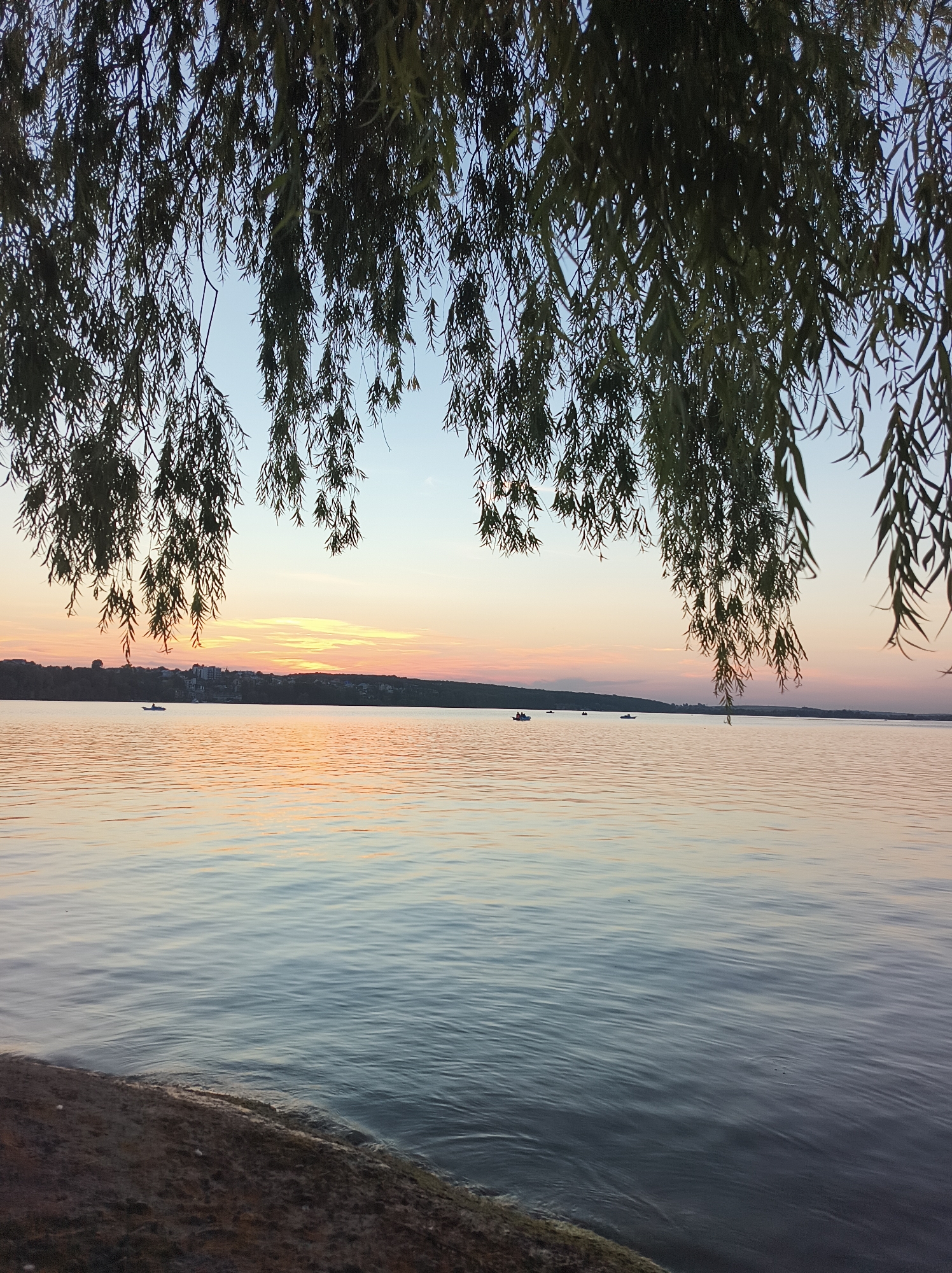 The image depicts a serene sunset over Ternopil Lake in Ternopil, Ukraine. The foreground is dominated by the textured surface of the shore and the gentle waves of the lake. In the middle ground, several small boats are visible on the water, with figures on board engaged in recreational activities. The background features a tree-lined embankment with buildings dotting the landscape. Overhanging branches of a weeping willow frame the scene from the top, creating a natural canopy. The sky exhibits a gradient of colors, transitioning from a pale blue at the top to soft hues of orange and pink near the horizon, indicative of a setting sun. The overall atmosphere is tranquil and picturesque.