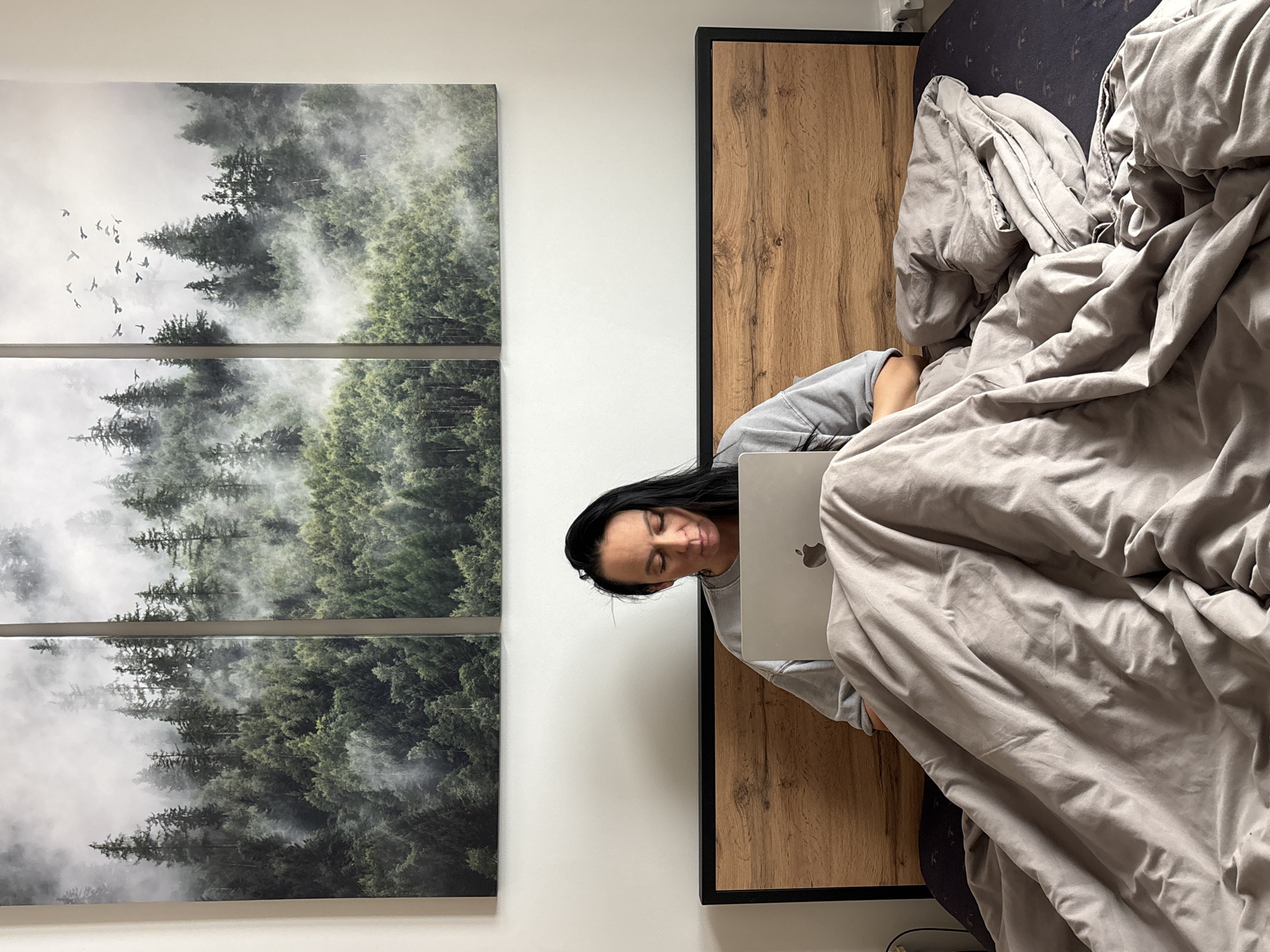 A woman is sitting in a bed using a laptop computer. She is wearing a gray sweatshirt and has dark hair. The bed has a wooden headboard and is covered with a gray duvet. On the wall to the left of the bed is a three-paneled landscape print featuring a misty forest scene with birds. The background is a white wall. There is not enough information to determine the location in the city of Chaikovsky, Russia.