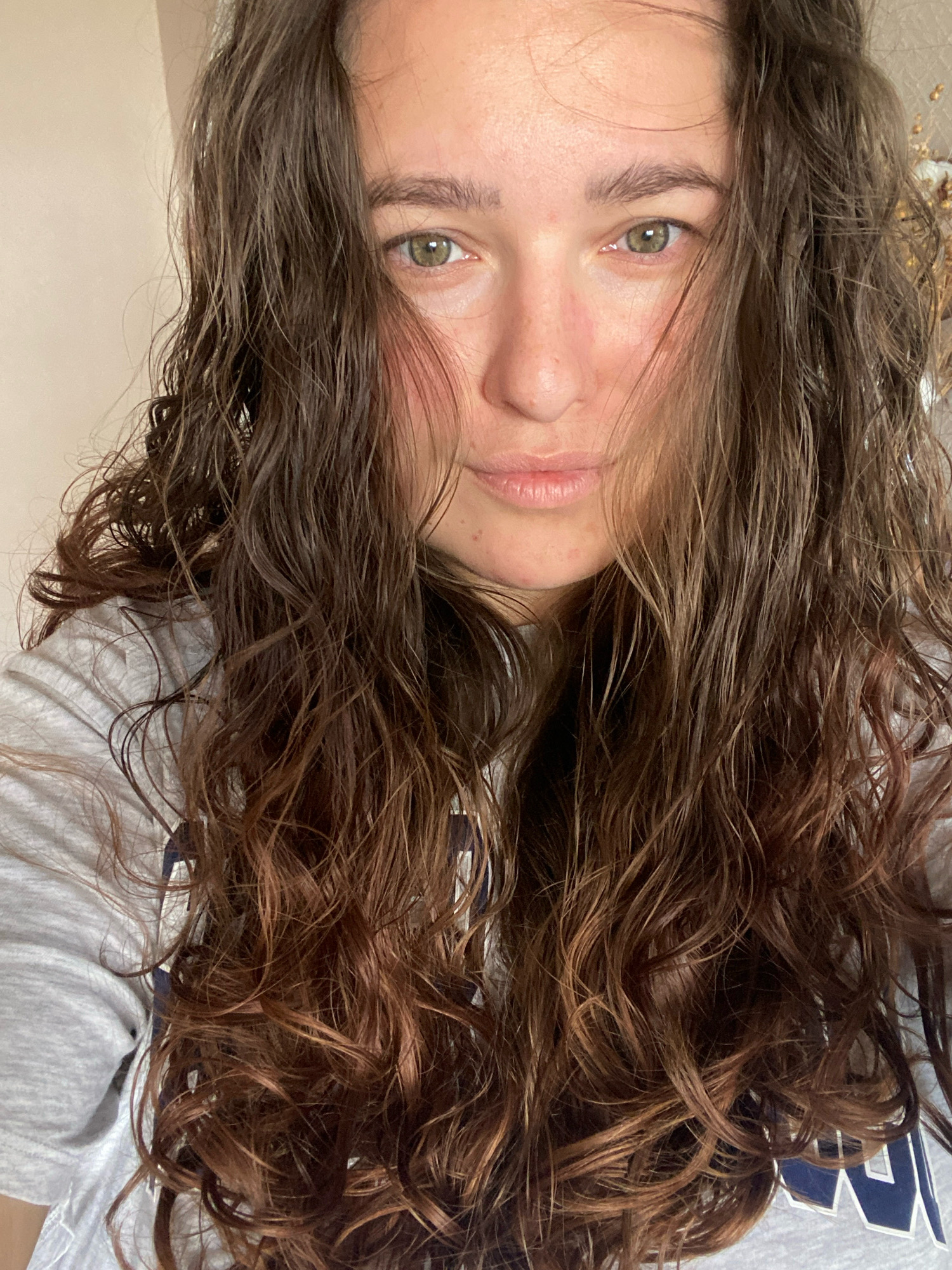 A medium shot captures a young woman with long, wavy brown hair, partially obscuring her face. Her hair appears damp, framing her face and falling onto her shoulders. She is wearing a grey sweatshirt with blue lettering. Her eyes are a light green, and her skin is fair with a few blemishes visible. The background is a plain, light-colored wall, with a hint of a dried floral arrangement on the right side. The image has a casual, indoor feel. The location is not discernible from the image.