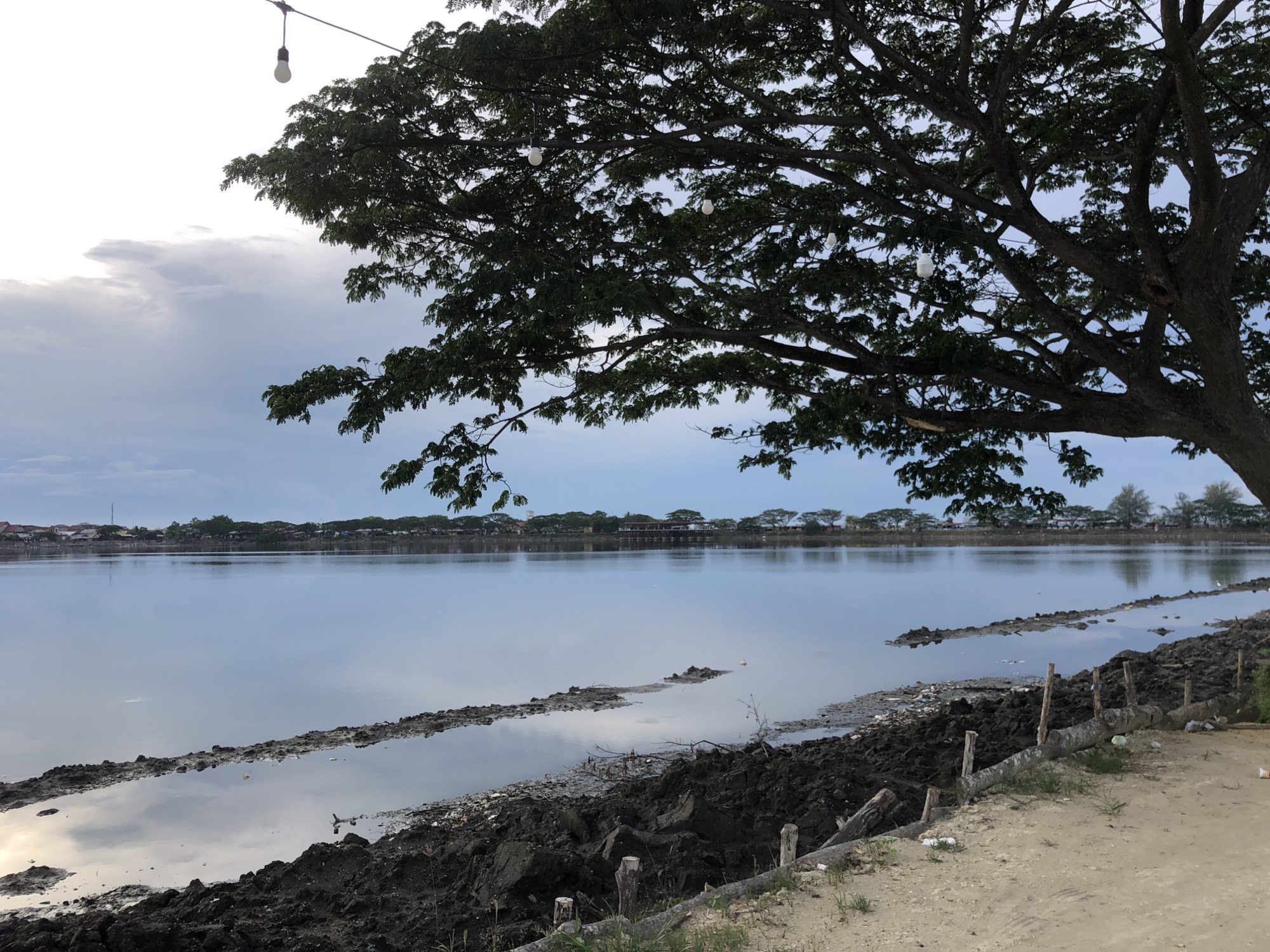 An expansive, calm body of water dominates the foreground and midground of the image. The water's surface reflects the cloudy sky and the distant treeline with houses, creating a serene and somewhat muted atmosphere. The sky is a blend of pale blues and grays, with soft clouds scattered across it.
In the foreground, along the edge of the water, is a muddy, uneven embankment. Dark, wet soil is piled up, interspersed with debris and some small, fallen branches. Wooden posts, some partially buried and weathered, are intermittently driven into the ground along this embankment, possibly marking a boundary or providing some form of erosion control. The ground leading away from the embankment is a lighter, sandy color, with patches of dry grass.
On the far side of the water, a long stretch of land is visible, lined with trees and houses. The buildings appear to be low-rise, with red roofs evident on some. This suggests a populated area, likely a town or village, bordering the body of water.
A large, mature tree with dense green foliage extends into the upper right portion of the frame, its branches casting shadows and partially obscuring the sky. Several exposed light bulbs, suspended from wires attached to the branches or a separate overhead line, are visible among the leaves, suggesting the area may be illuminated at night.
The overall impression is of a natural landscape juxtaposed with signs of human presence and infrastructure. The location is the north-eastern coast of Sumatra, Indonesia, specifically in the city of Lhokseumawe. This area is known for its coastal geography and the presence of both natural bodies of water and urban development.