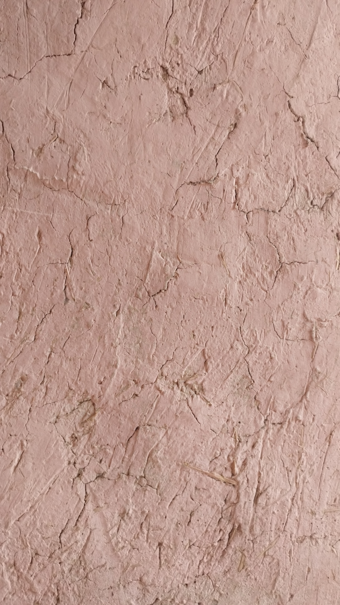 This is a close-up, full-frame, vertical shot of a cracked, textured, pinkish-brown mud wall. The surface is uneven with visible indentations and ridges, suggesting it is an unplastered or roughly finished building material. Fine, dark cracks web across the surface, varying in length and width, indicating dryness and age. Some lighter, straw-like fibers are embedded in the mud in various areas. The lighting is even, with no strong shadows, providing a clear view of the wall's texture. The image does not contain any people or discernible objects other than the wall itself. It is impossible to determine the specific location in Yangiobod, Tajikistan from this image alone, as it focuses solely on the surface detail of the wall.