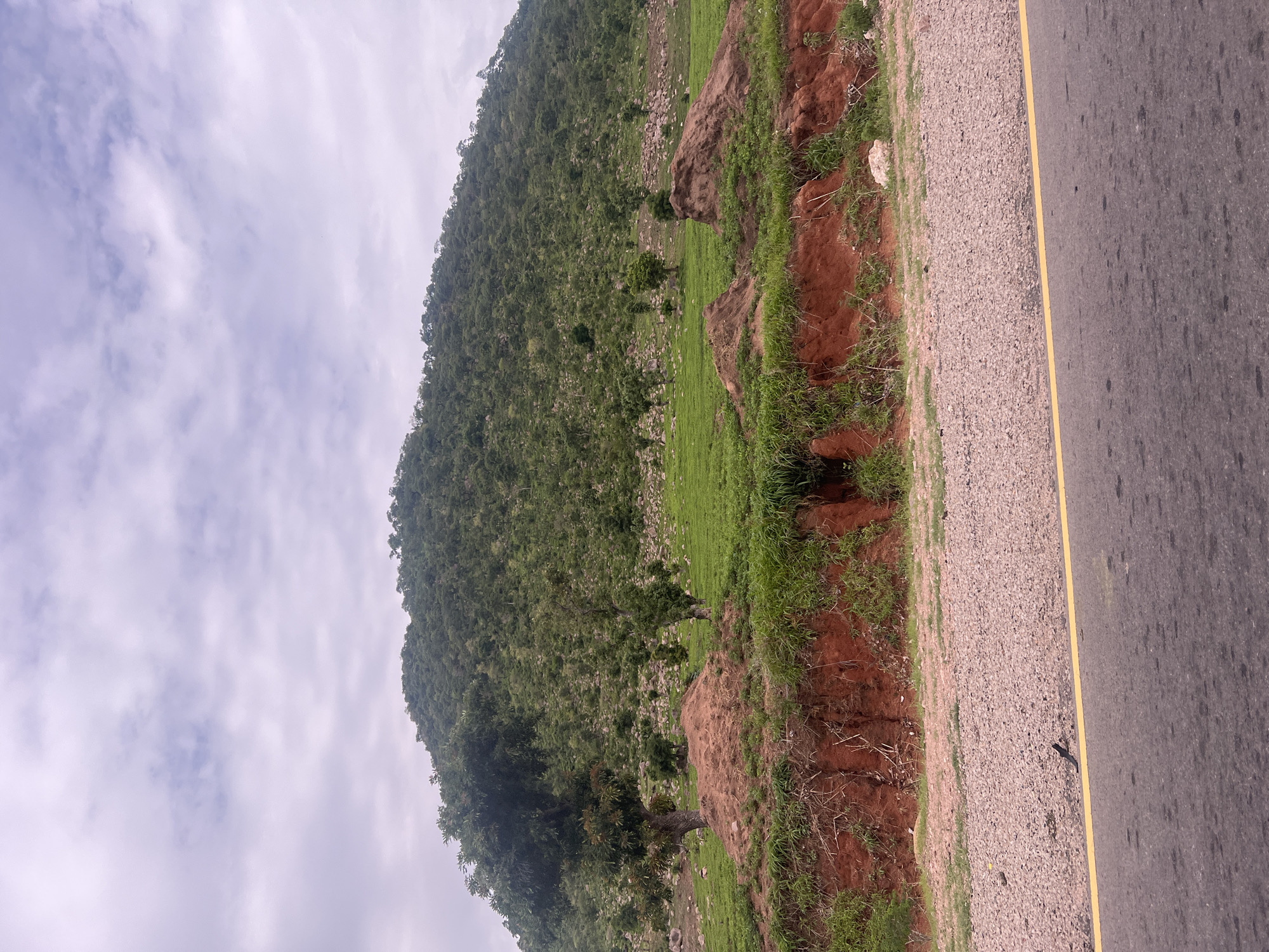 A wide shot captures a lush, green hillside under a cloudy sky, with a paved road in the foreground. The hillside is densely covered in vegetation, with scattered trees and rocks. The foreground features a gravel shoulder next to the asphalt road, marked by a yellow line. Red earth is visible along the edge of the hillside, with some grass and shrubs growing on it. There are no people or animals visible in the image. The scene appears to be a natural landscape, possibly a rural area on the outskirts of Minda, Nigeria, where roads often cut through hilly terrain with abundant greenery.