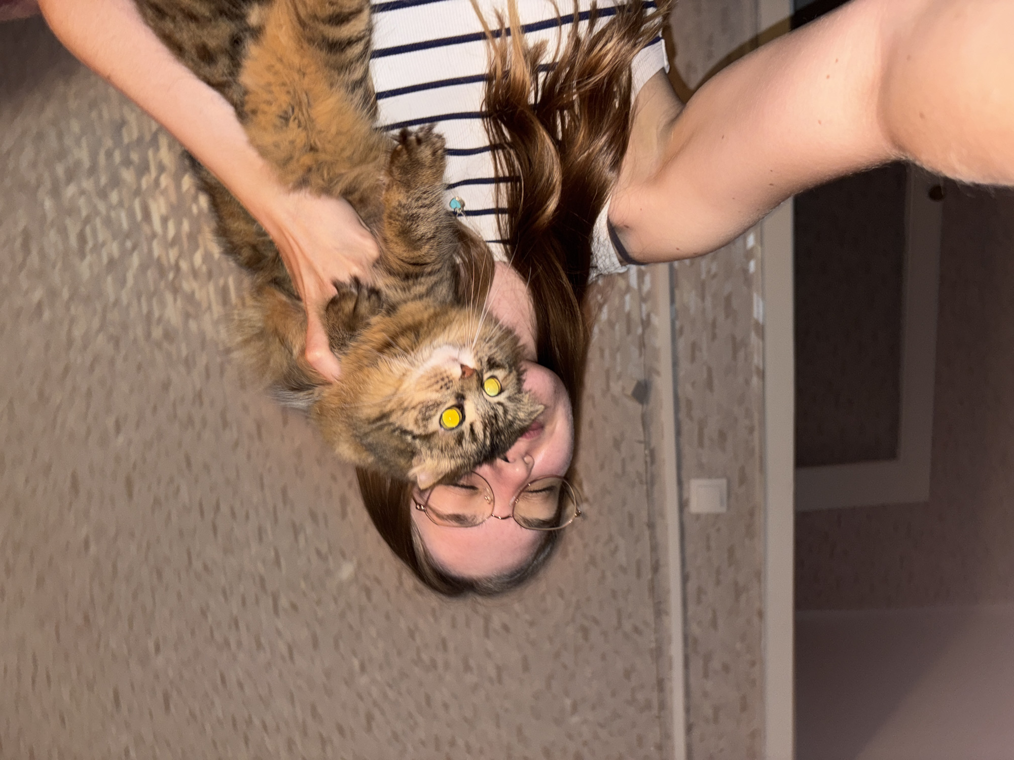 A person is holding a tabby cat upside down. The person wears glasses and a striped shirt. The location appears to be inside a room with patterned wallpaper and a doorway. The person's location is Perm, Russia.