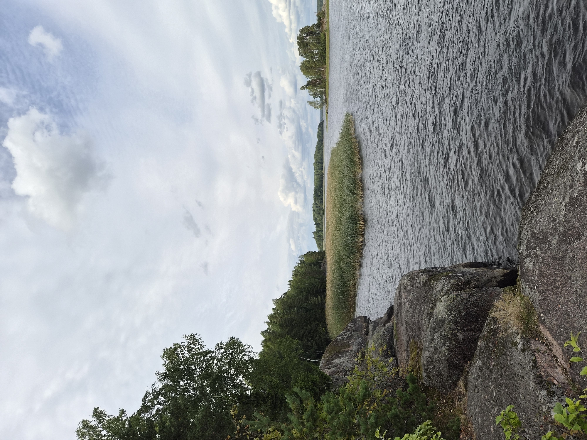 This is a photograph of a body of water with a rocky shoreline and a dense forest in the background, under a cloudy sky. In the foreground, large grey rocks covered in moss are visible, some with sparse vegetation. To the left, a section of lush green trees extends into the frame. The water is dark and rippled, suggesting a gentle breeze. Across the water, a wide band of tall, dry reeds forms a natural barrier. Further in the distance, a small island dotted with trees is visible, and beyond that, a further stretch of forest lines the horizon. The sky is filled with a mix of white and grey clouds, with patches of lighter blue visible. The overall impression is of a tranquil, natural landscape. This scene is characteristic of the Vyborg Bay area, specifically the islands and coastlines that surround the city of Vyborg, Russia.