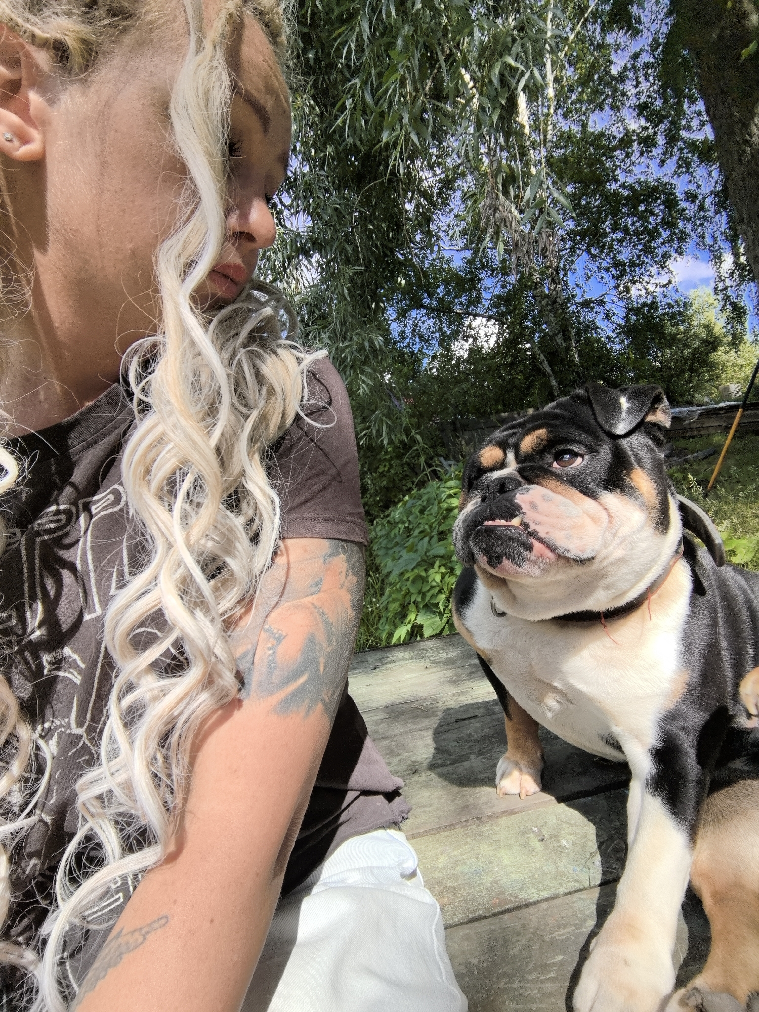 In Noviy, Russia, a woman with blonde hair is sitting on a wooden surface, looking down at a tricolor English bulldog. The woman is wearing a dark t-shirt and white shorts, and has tattoos on her arm. The bulldog is looking up at the woman, with its tongue slightly out. The scene is set outdoors, with trees and foliage in the background under a blue sky. The wooden surface appears to be a deck or boardwalk. The lighting suggests it is daytime, likely sunny.