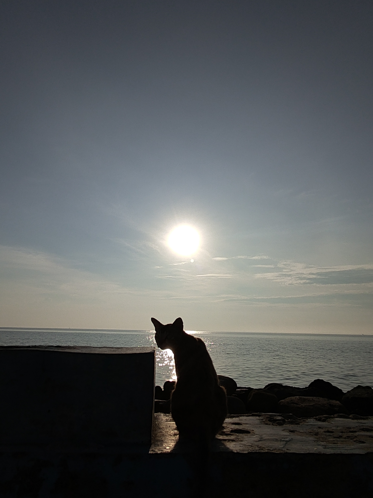 A silhouetted cat sits on a concrete structure overlooking the sea. The sun shines brightly over the water, creating a glare. Some clouds are visible in the sky. The location appears to be a coastal area, likely in Lhokseumawe, Indonesia. Stones are scattered along the shoreline.