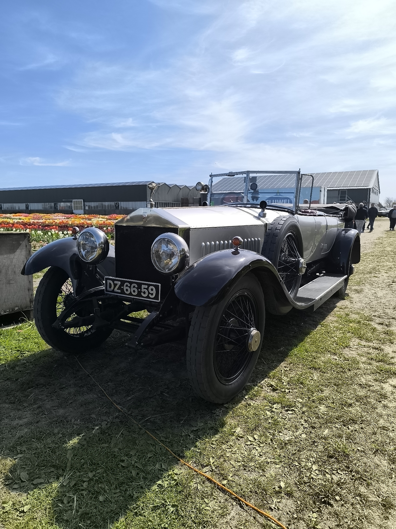 The image shows a vintage Rolls-Royce automobile with license plate "DZ-66-59" parked on a grassy field. In the background, there's a field of tulips in various colors, and a structure resembling a greenhouse with solar panels. Some people are walking in the background towards the right side of the picture. The sky is blue with light clouds. The location is likely Burgerbrug, Netherlands due to the presence of tulip fields and the Dutch license plate.