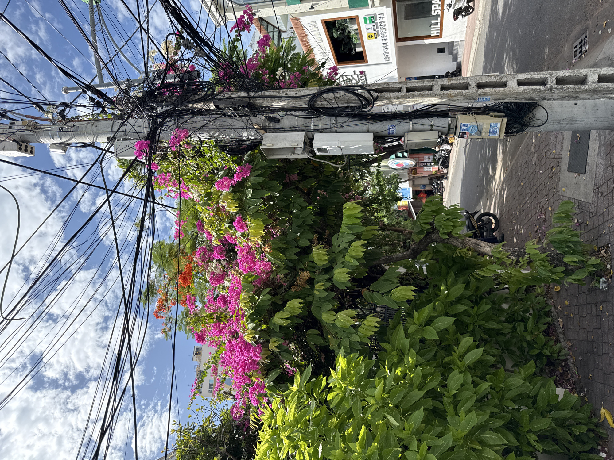 This is a ground-level, eye-level, medium shot photograph of a street scene in Nha Trang, Vietnam. In the foreground on the left, a large bush with bright green leaves fills the left side of the frame. Behind and to the right of the bush, a tree with vibrant pink bougainvillea flowers and some orange flowers is visible. A utility pole, heavily laden with a tangled mass of black electrical and telecommunication wires, stands prominently in the center-right of the image. Attached to the pole are several grey and beige utility boxes. The street continues to the right, paved with grey asphalt and lined with a brick sidewalk. Buildings, including one with signage that reads "HILL SPA," are visible along the street. Several motorcycles are parked along the sidewalk and street. The sky above is blue with scattered white clouds. The scene depicts a typical urban streetscape in Vietnam, characterized by dense vegetation, exposed utility infrastructure, and the presence of motorcycles.