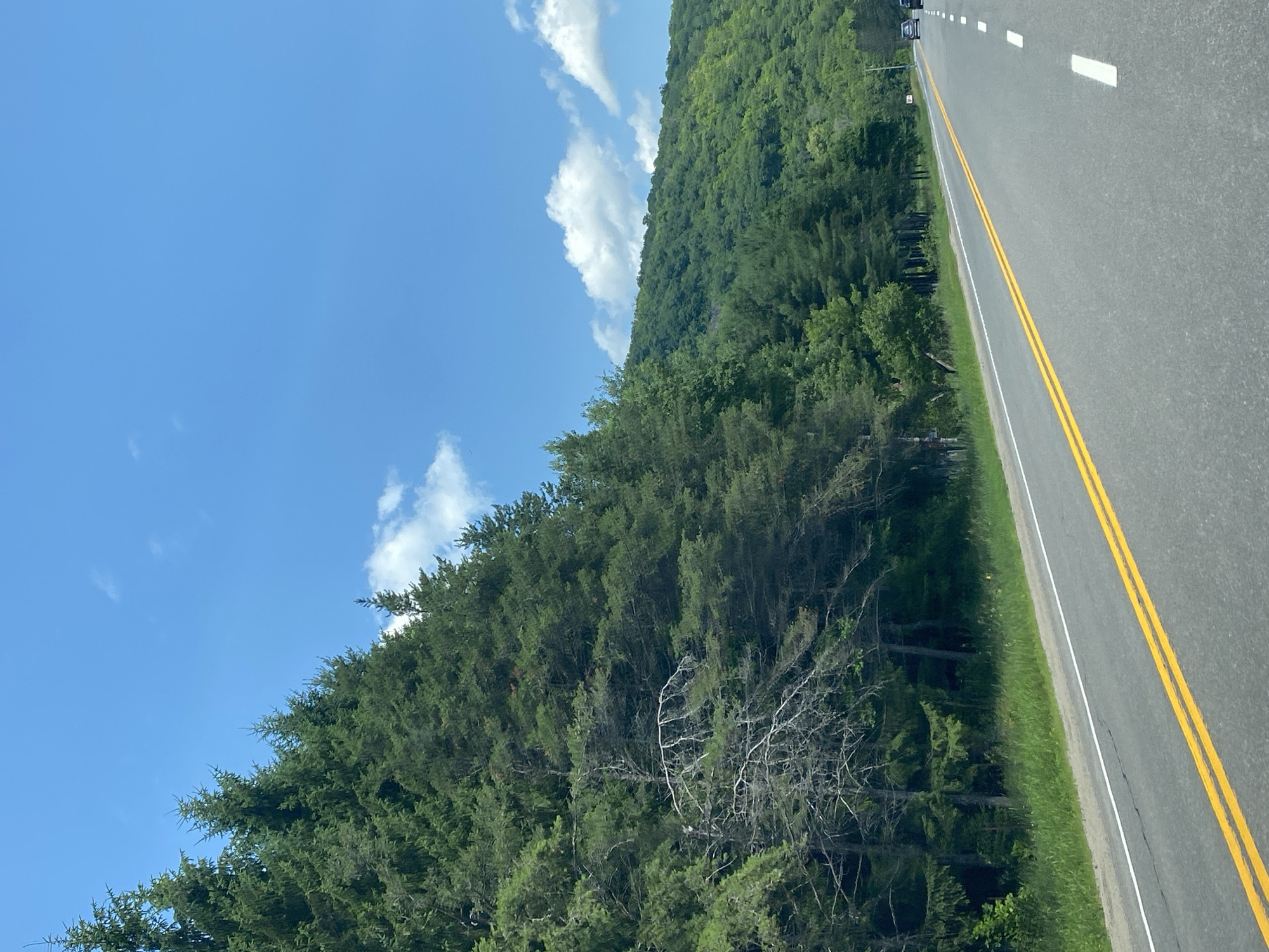 An image depicts a two-lane highway with yellow double solid lines in the center, indicating no passing zones. The highway runs through a forested area with a lush green hillside to the right. Tall evergreen trees line the left side of the road, with some bare, gray trees interspersed within the foliage. The sky is a clear blue with scattered white clouds. The scene appears to be a scenic drive in a rural or mountainous region.