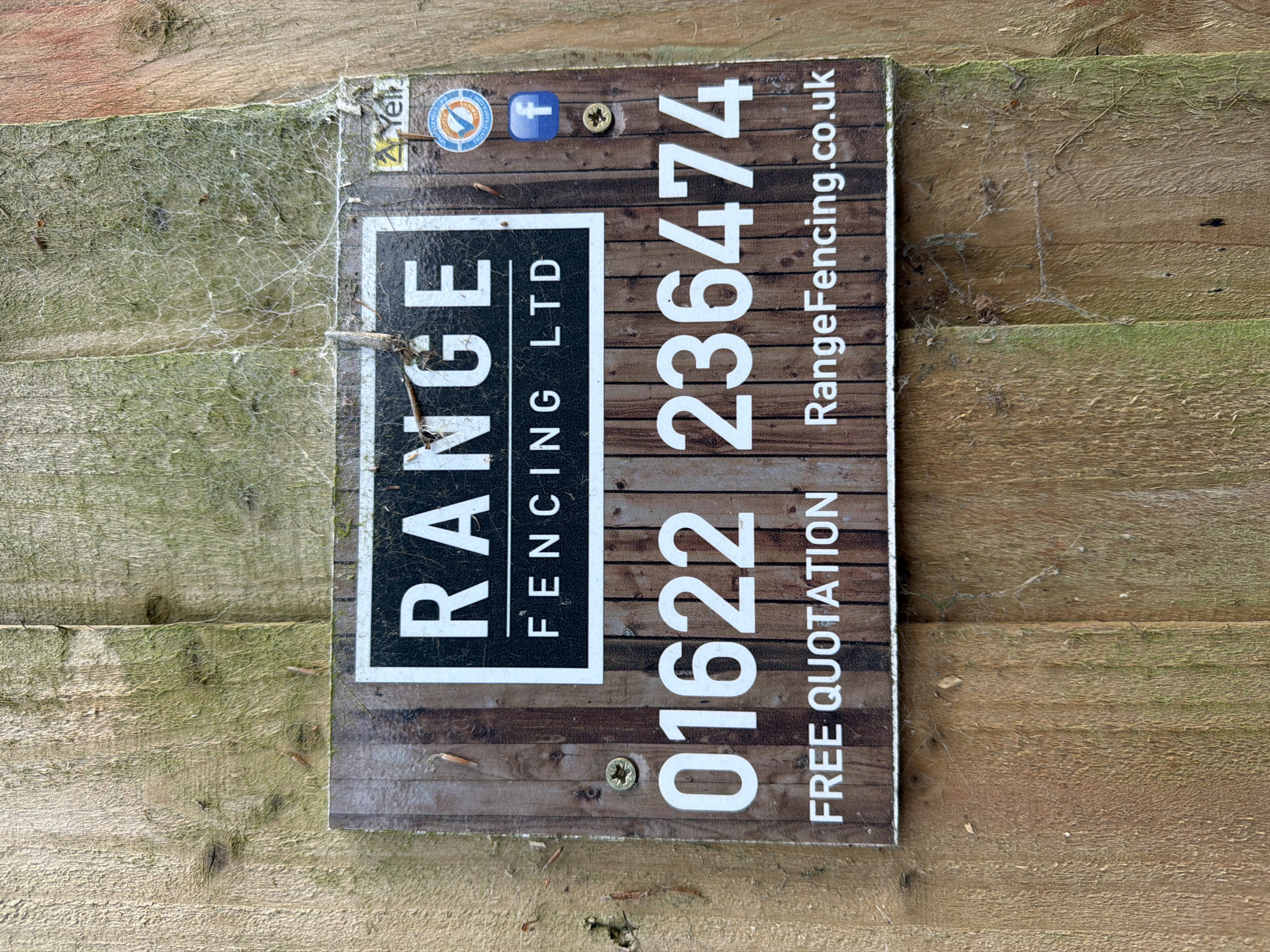 A rectangular advertisement sign for "RANGE FENCING LTD" is affixed to a weathered wooden fence. The sign features a black rectangular logo with the word "RANGE" in large white capital letters, with "FENCING LTD" in smaller white letters beneath it. Below the company name, a prominent white telephone number "01622 236474" is displayed, indicating the business operates in Maidstone, United Kingdom. To the right of the logo, a partially obscured yellow "Yell" logo, a blue circular badge (likely a trust or review mark), and a blue square Facebook "f" icon are visible. The lower section of the sign includes "FREE QUOTATION" on the left and "RangeFencing.co.uk" on the right in white text. The sign itself has a printed brown wood-grain background and is secured by at least two visible Phillips head screws, one on the upper left and another on the mid-right.
The background consists of vertical wooden fence panels, exhibiting considerable weathering and patchy green discoloration consistent with moss or algae growth, especially on the upper and right portions. Extensive, delicate cobwebs are visible, particularly in the upper right quadrant of the image, extending from the fence onto the sign, along with minor organic debris. The wood grain and some knots are clearly visible on the fence panels. No people or active interactions are depicted in the scene.