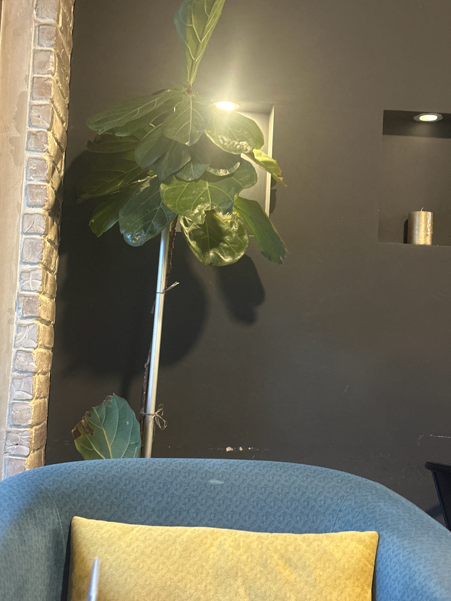 The image shows an indoor scene with a large potted plant, a plush armchair, and a decorative candle. A brick wall is visible on the left, and a dark gray wall occupies the background. A small, recessed shelf on the wall holds a cylindrical gold candle. A overhead light shines down on the plant. The armchair in the foreground is upholstered in a textured blue fabric and has a yellow throw pillow on it. The scene appears to be in a dimly lit room.
