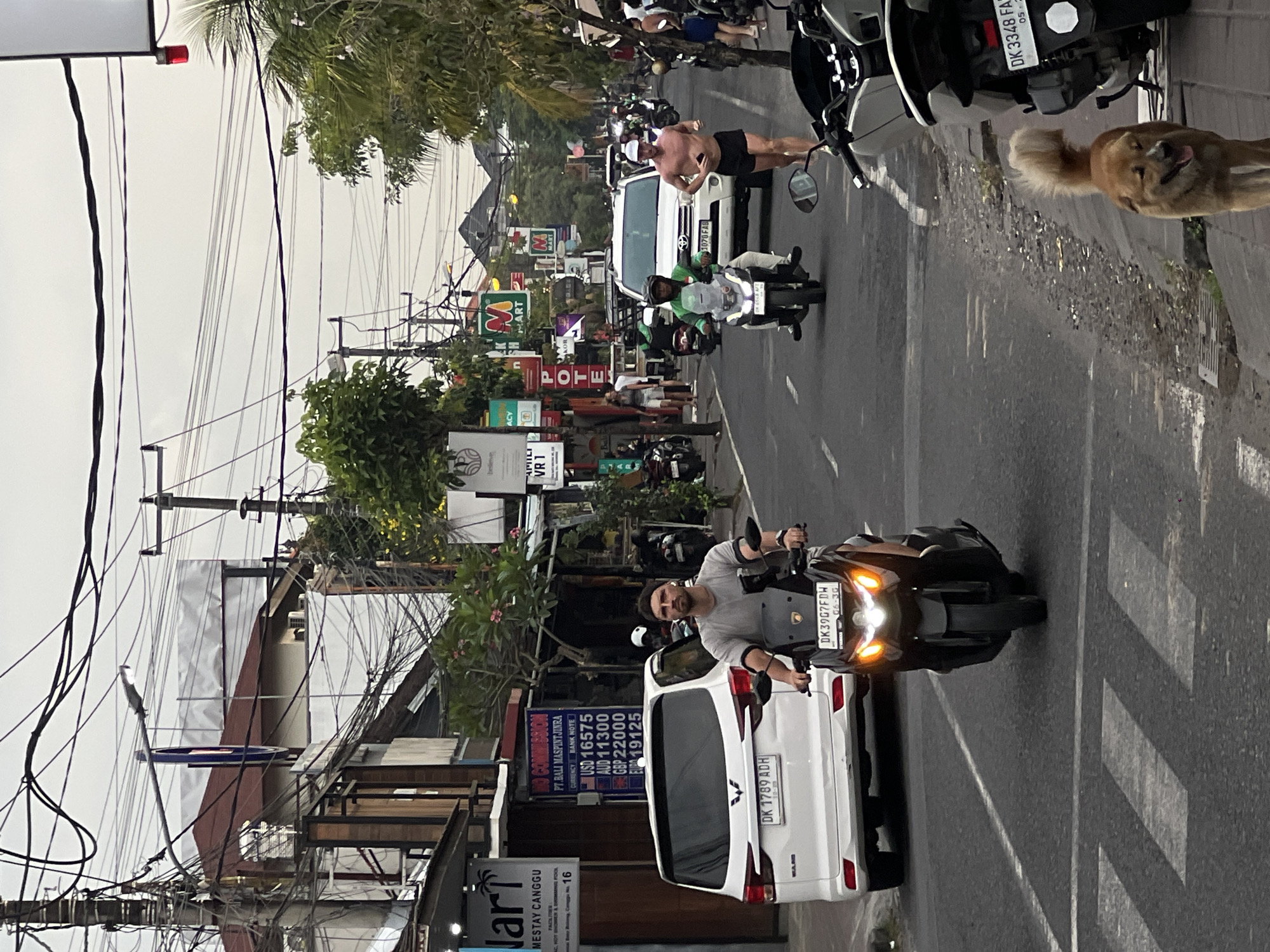 The image shows a street scene in Canggu, Indonesia, likely a bustling area with various shops, vehicles, and pedestrians. The main subject is a man riding a scooter toward the camera in the right lane. Behind him, a white van is stopped on the road. On the left side, there are several shops and businesses, with clear signage including a currency exchange rate board. In the background, there are more shops and vehicles. On the right side, there is a dog, part of a motorcycle, and a shirtless man walking along the road. There are overhead power lines crisscrossing the sky. The image suggests a busy day with a variety of activities and traffic.